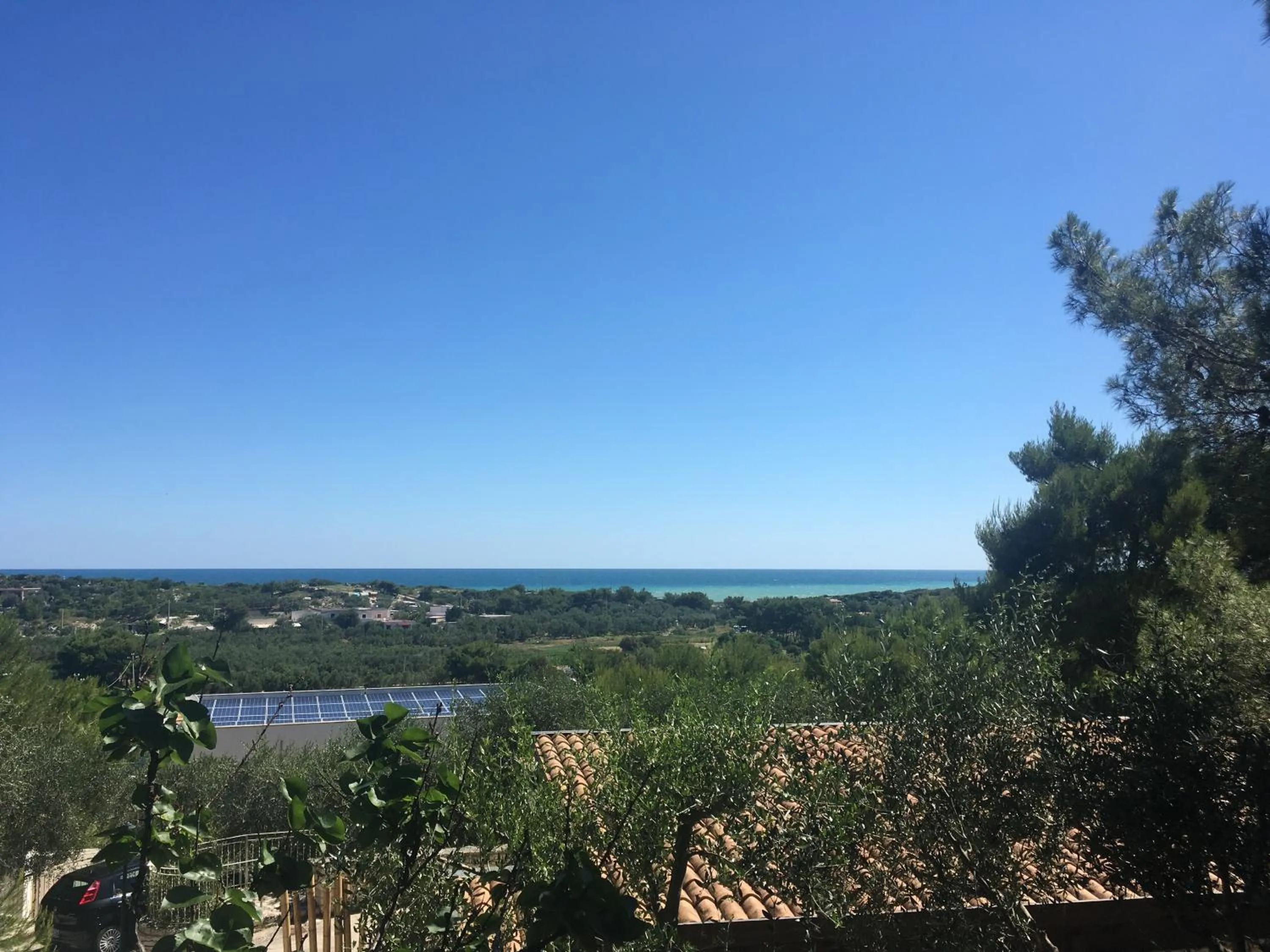 Natural landscape in Viestemare Resort & SPA