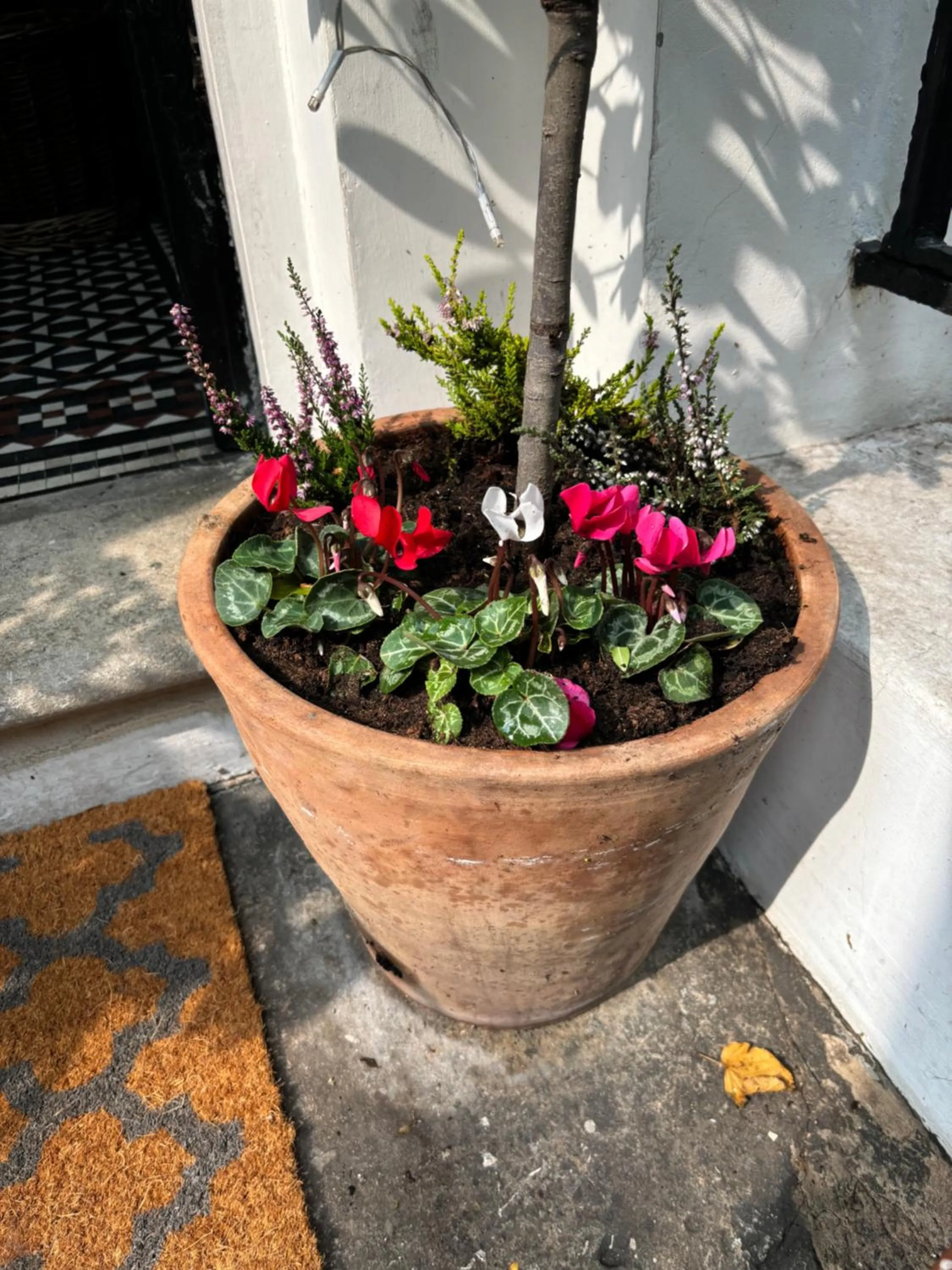 Central Victorian House