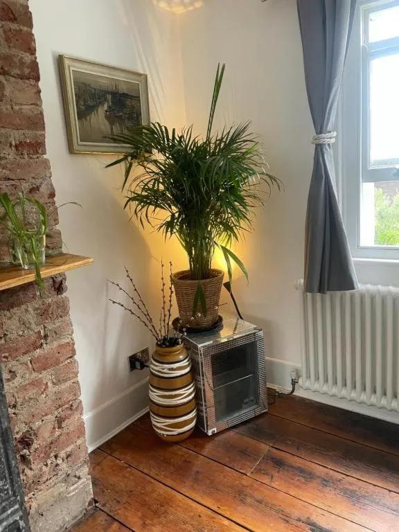 Central Victorian House