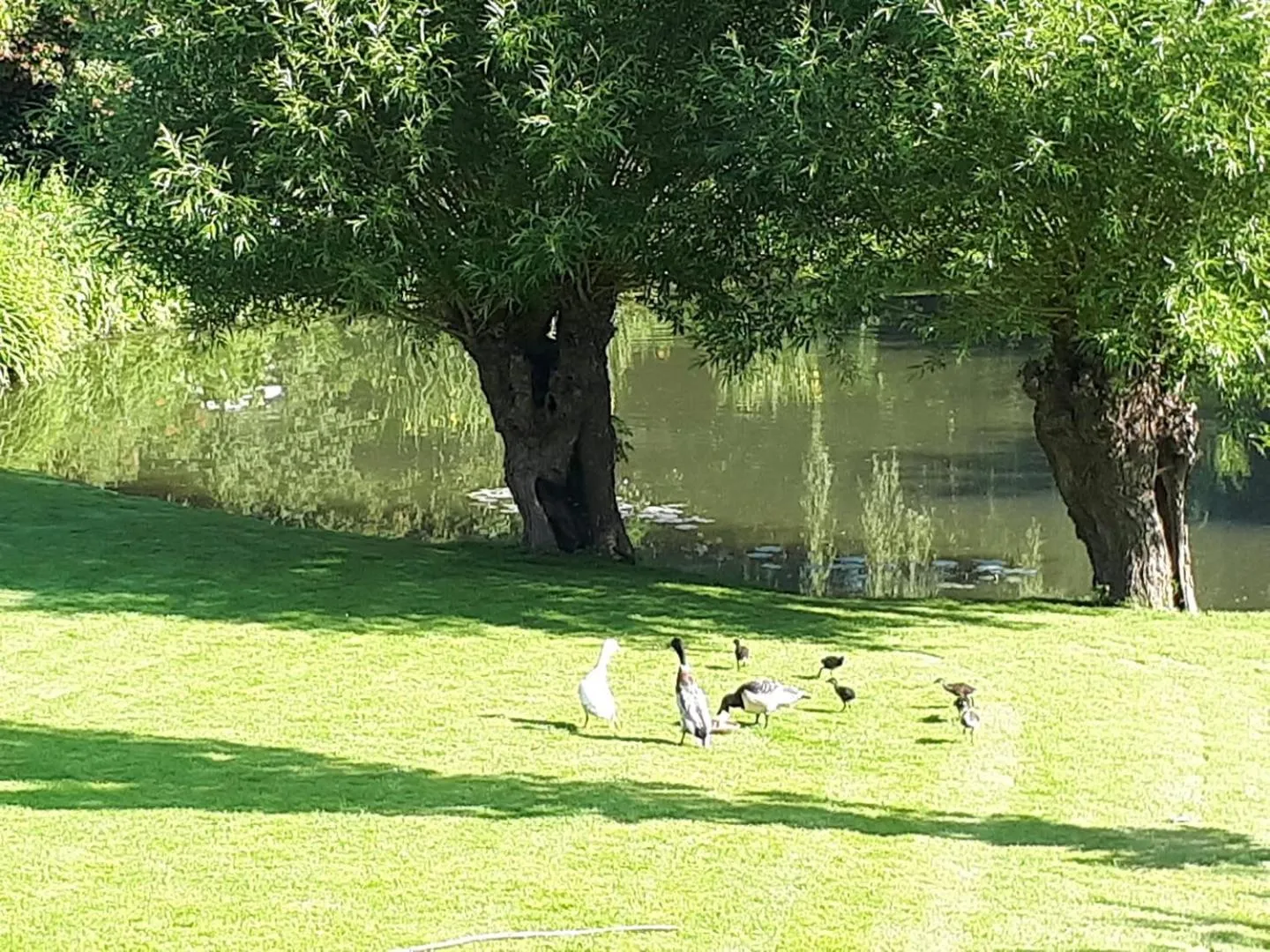 Villa Marguerite - Chambres d'Hôtes
