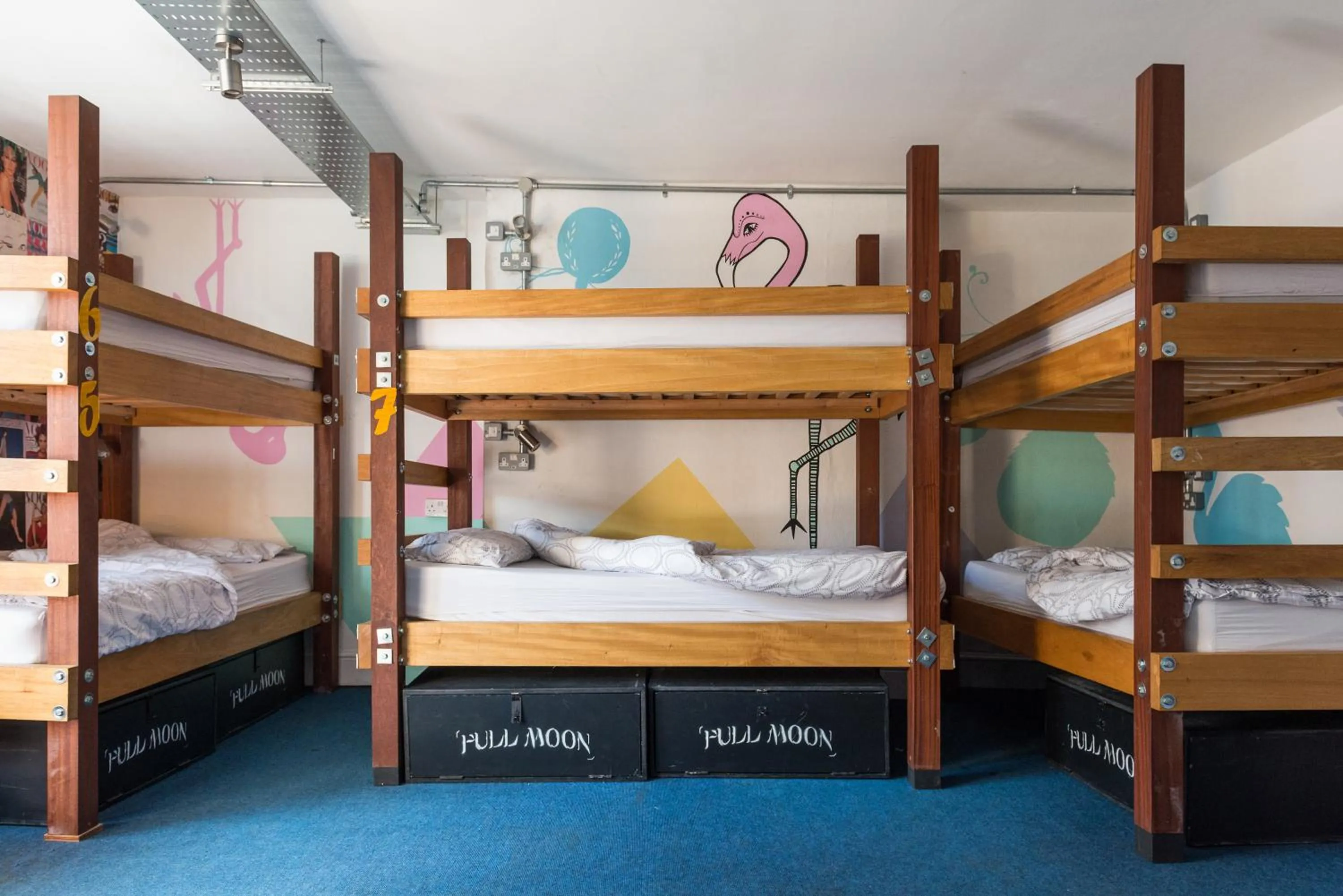 bunk bed, Bed in The Full Moon Backpackers