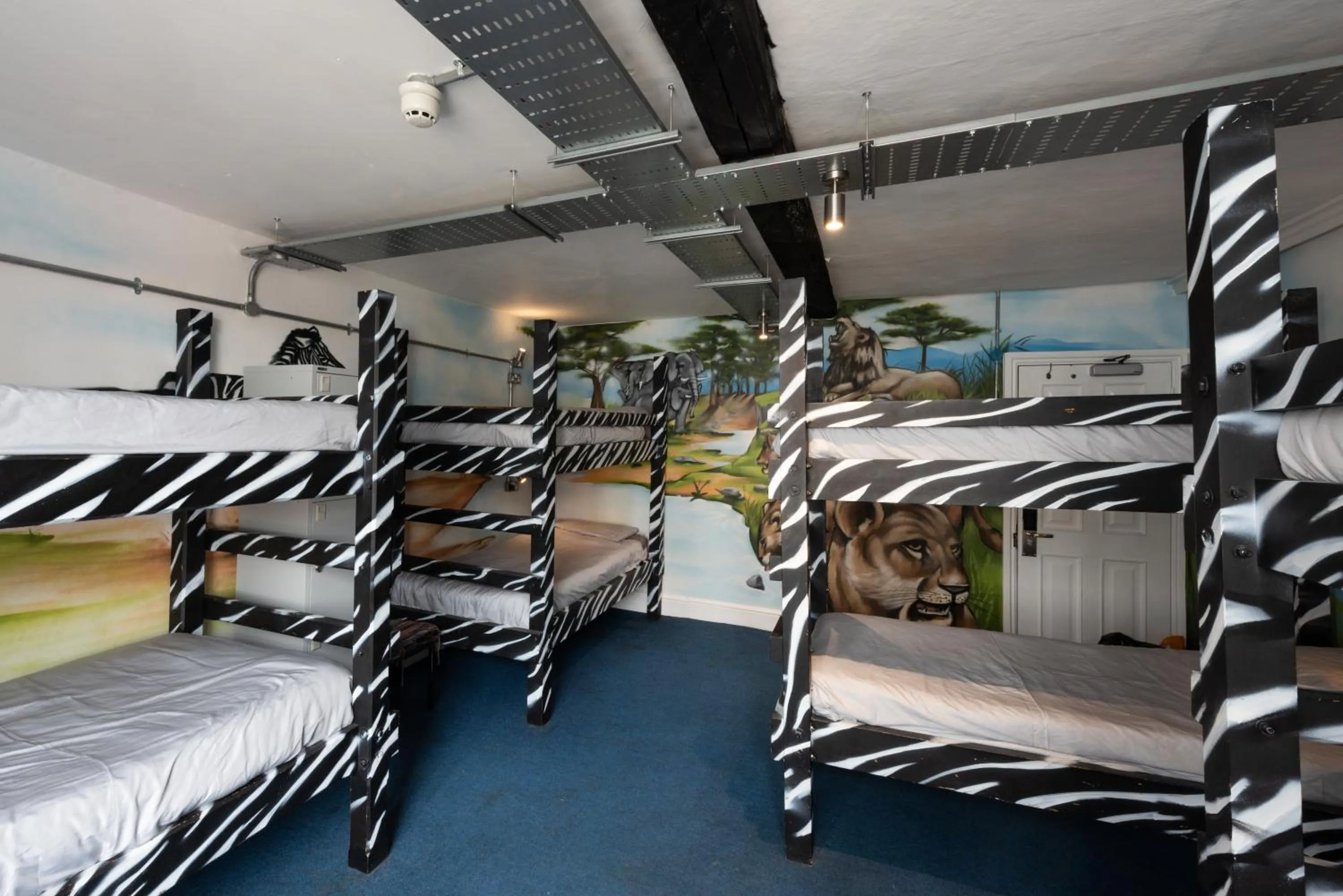 bunk bed, Bed in The Full Moon Backpackers