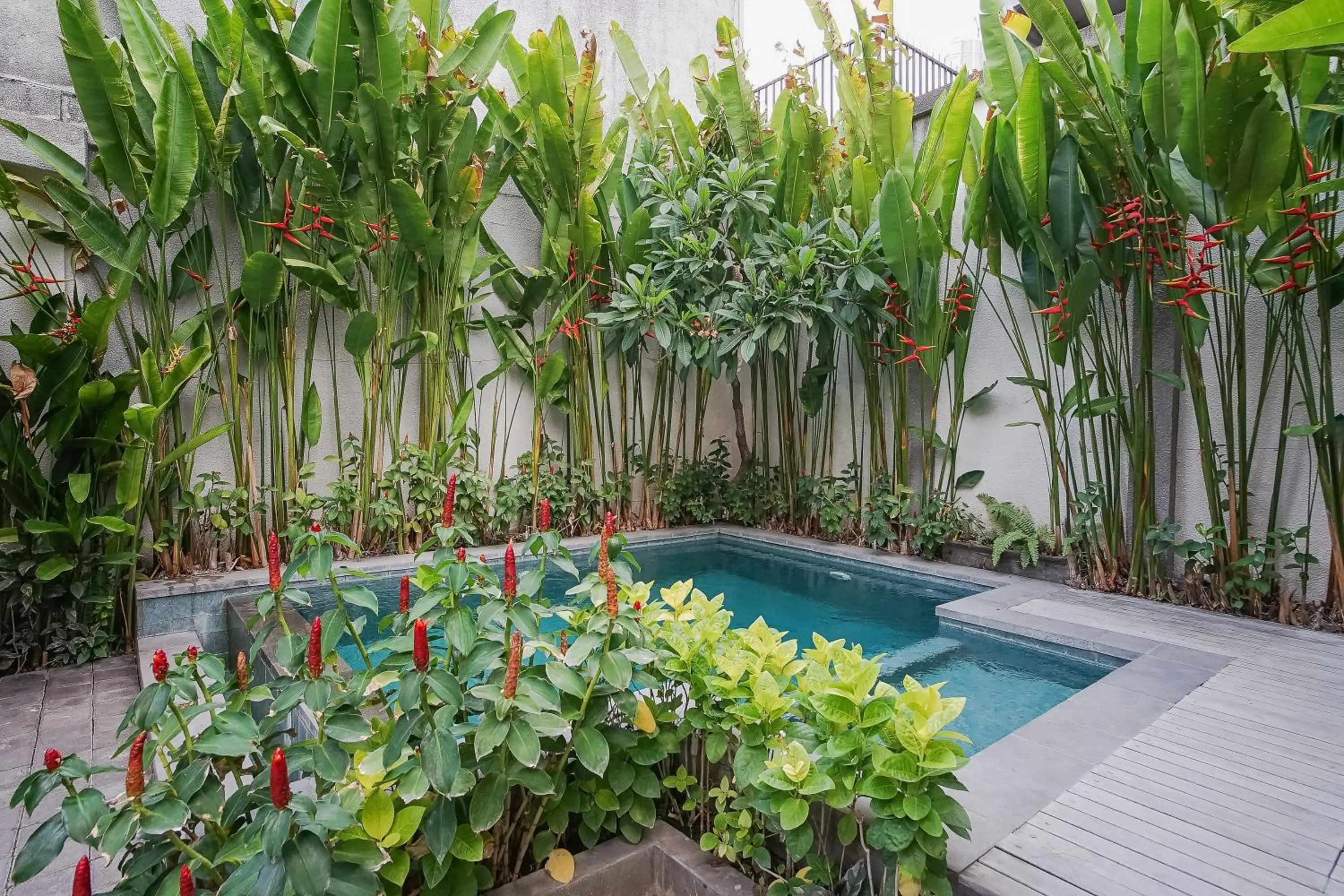 Swimming pool in Dee Mansion