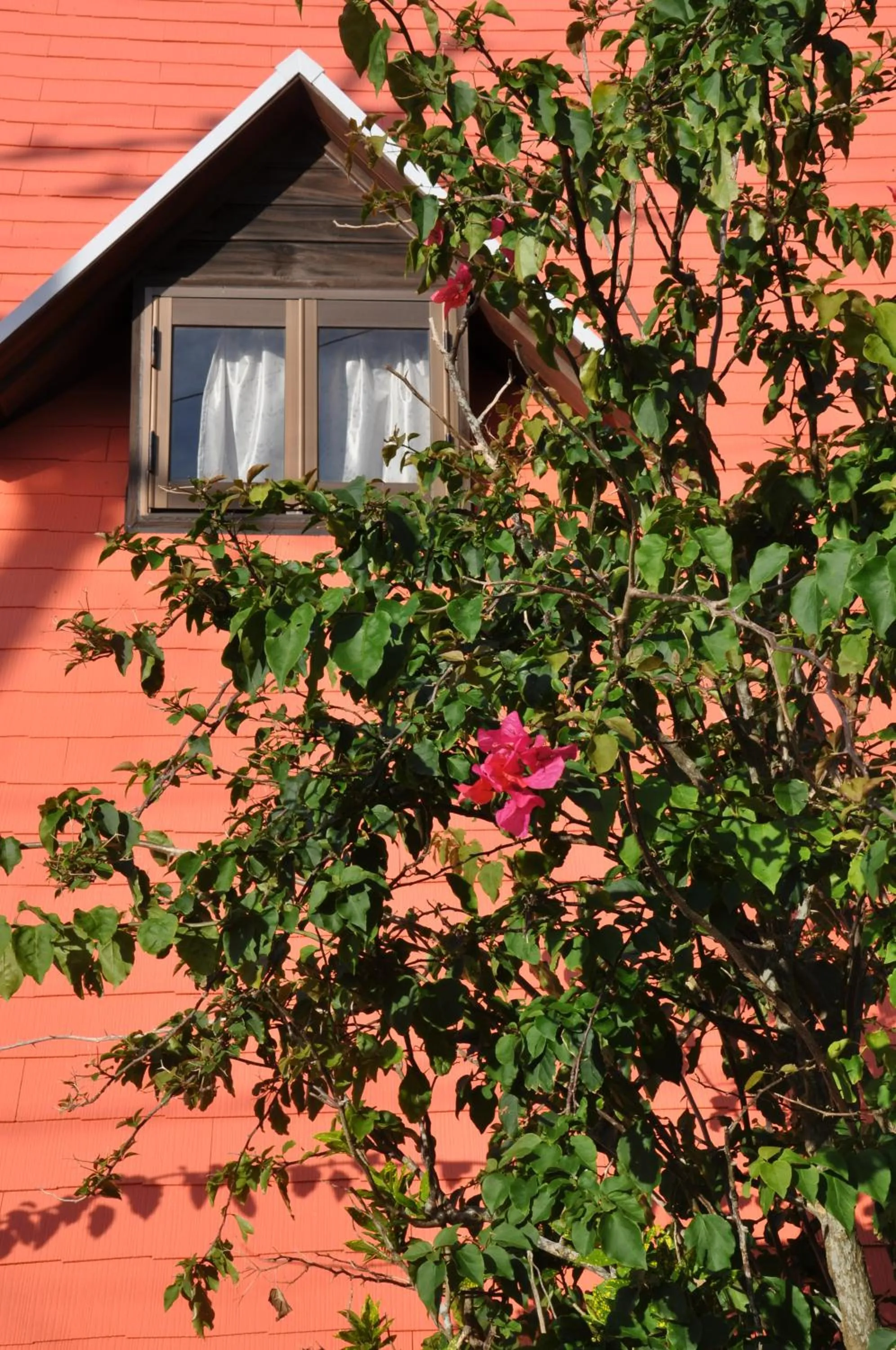 Property building in Sea Breeze