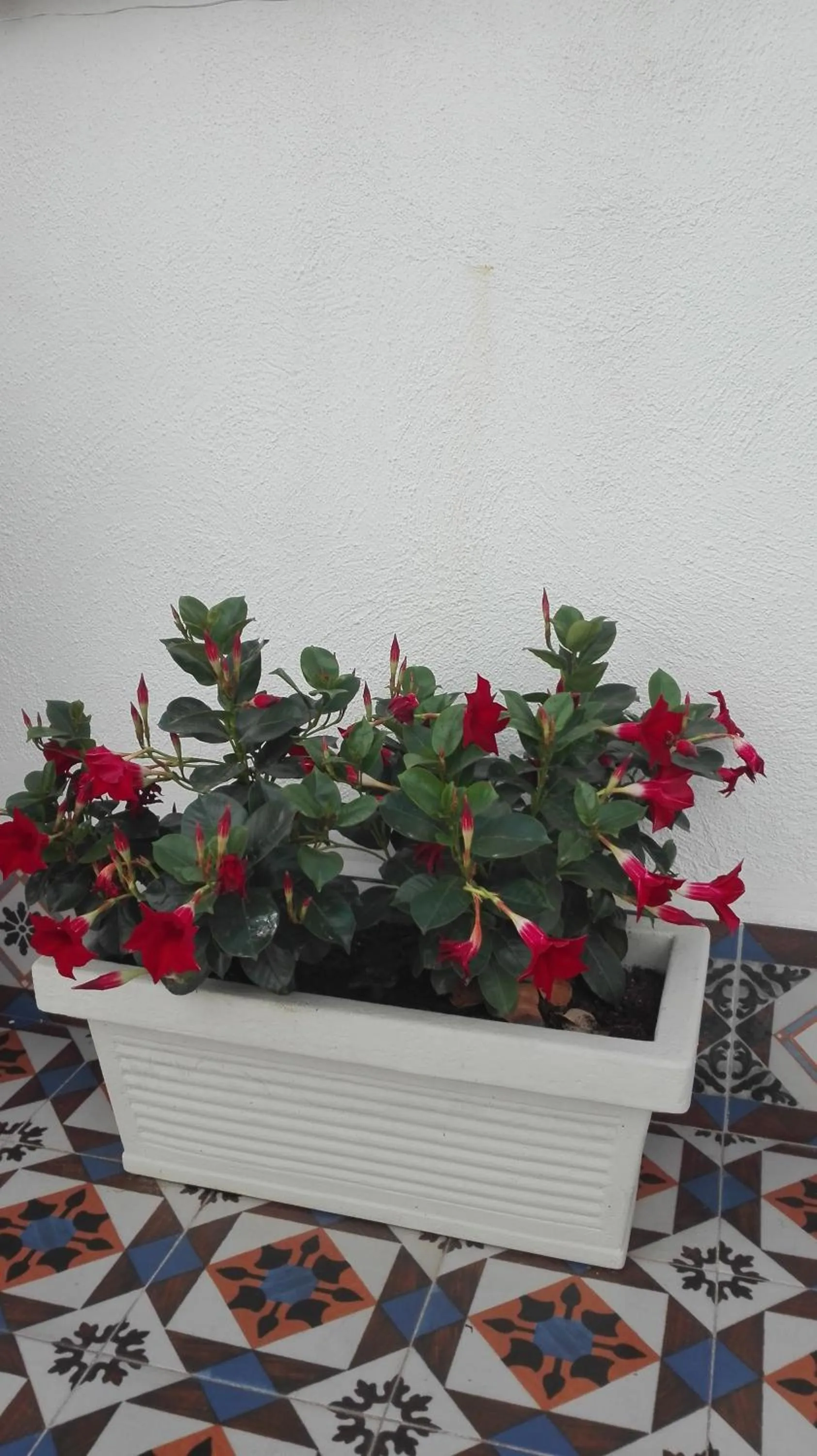 Balcony/Terrace in Demetra Rooms