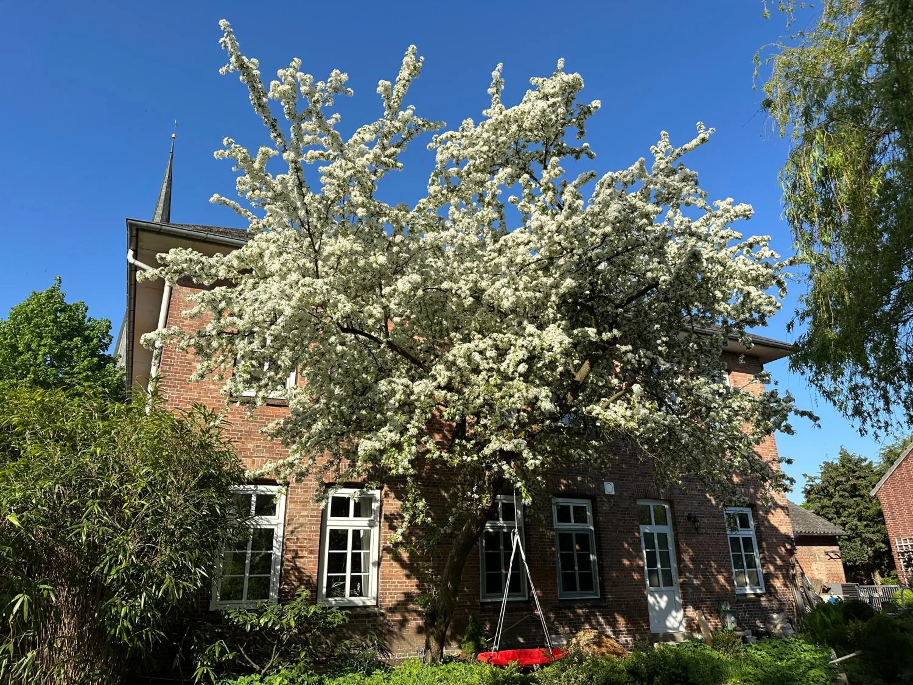 Property building in Altes Pastorat