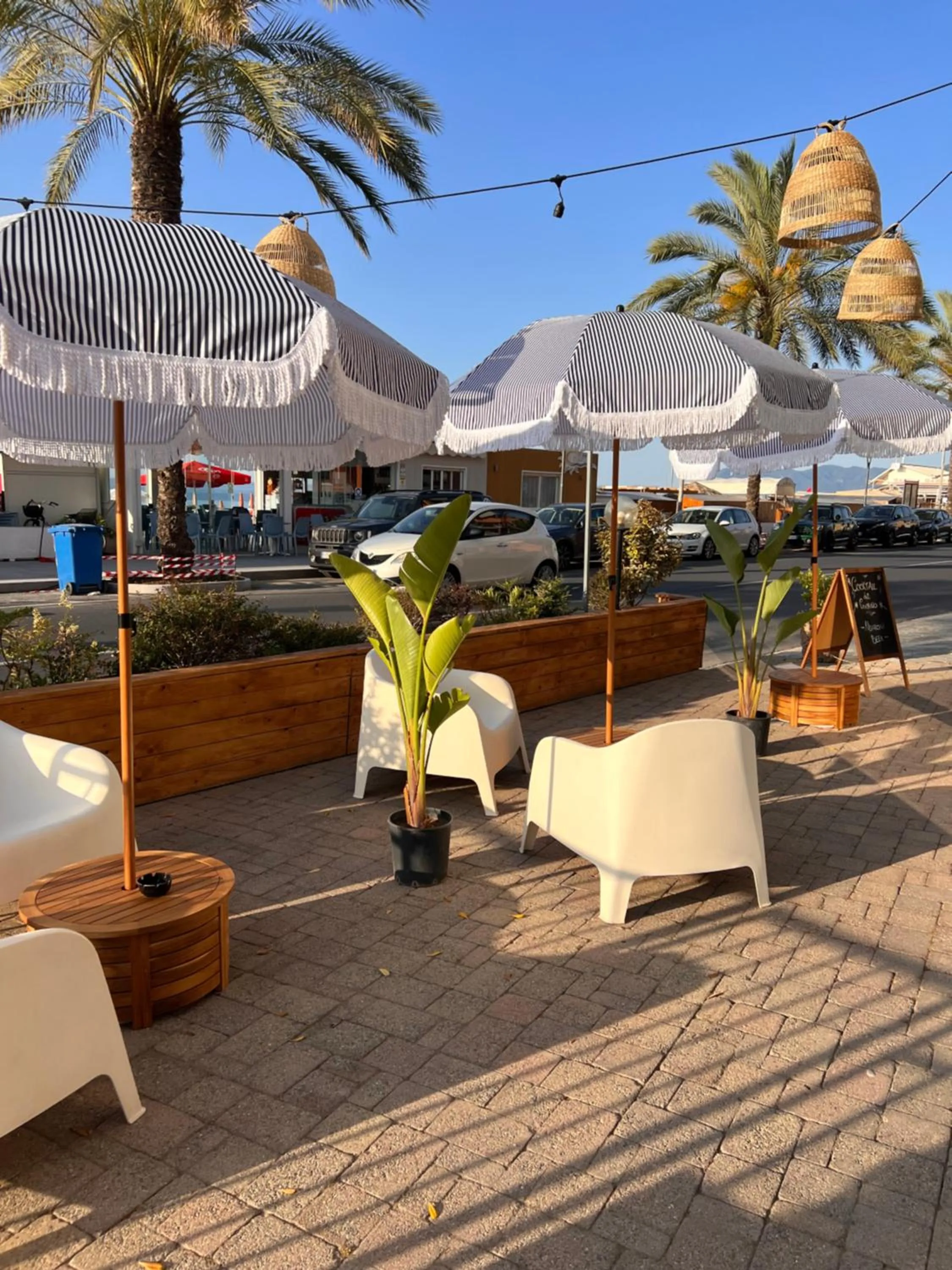 Garden in Hotel Jolly Roger