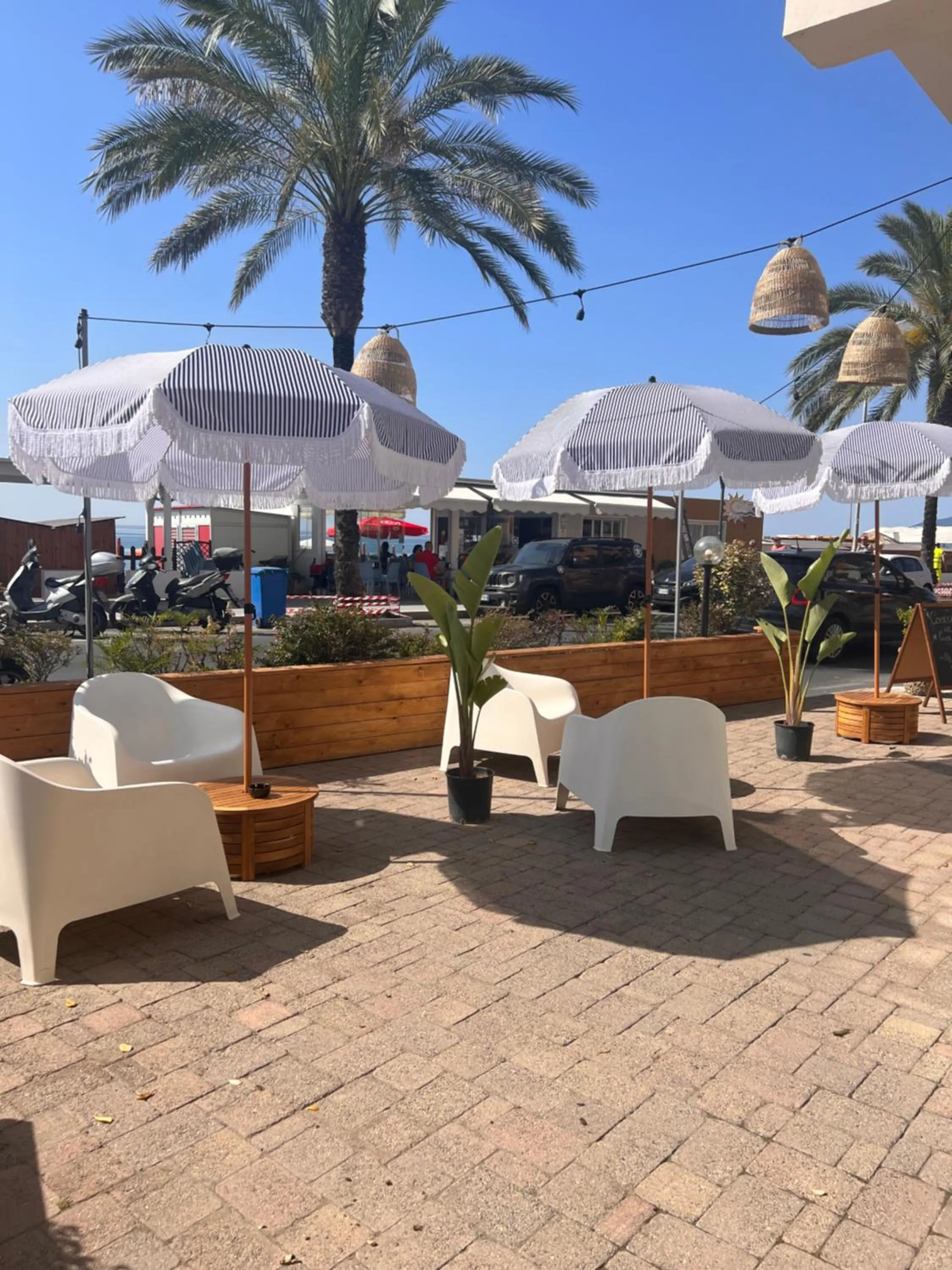 Garden in Hotel Jolly Roger