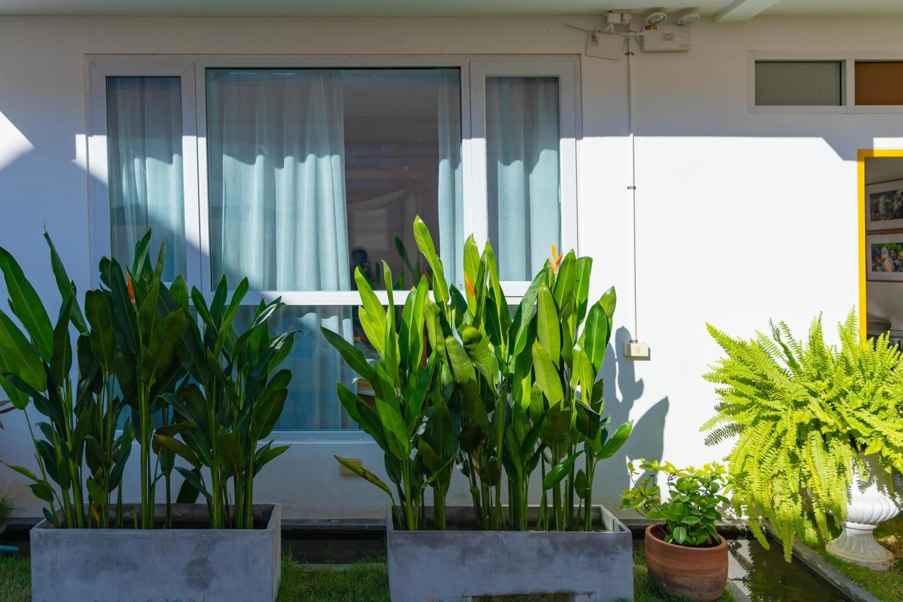 Mammoth Boutique Hotel