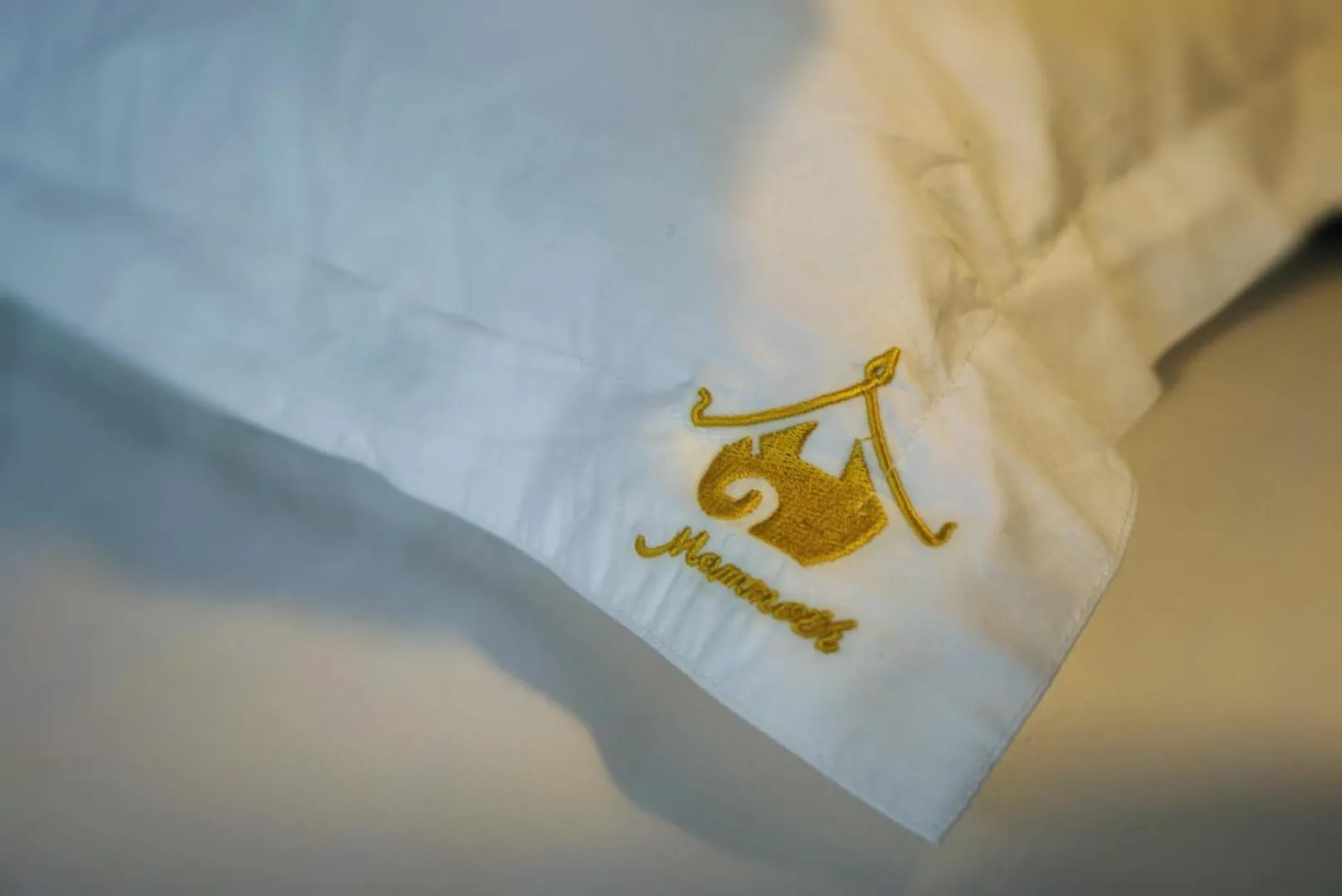 Logo/Certificate/Sign, Bed in Mammoth Boutique Hotel