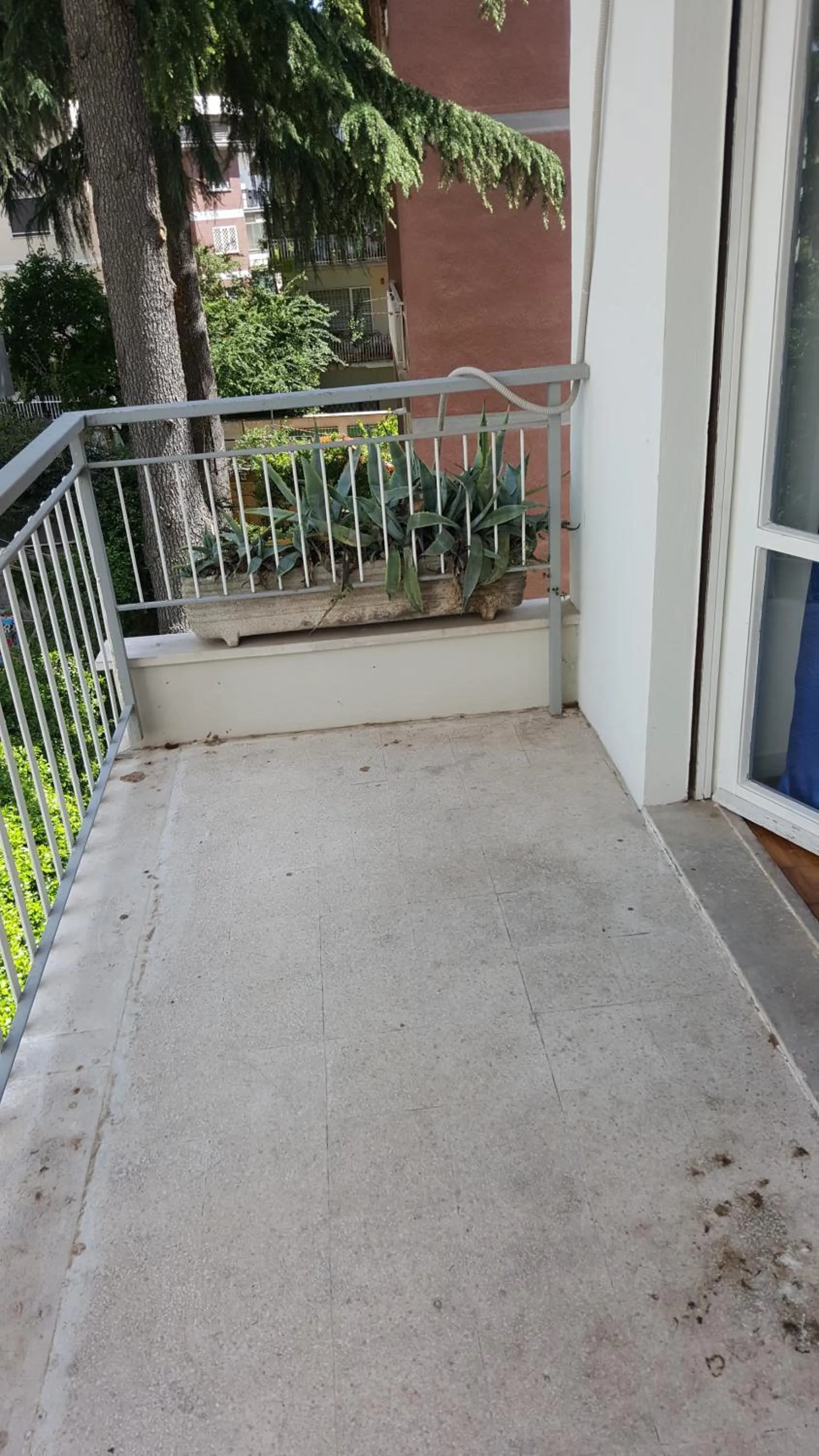 Balcony/Terrace in Domina Romae B&B