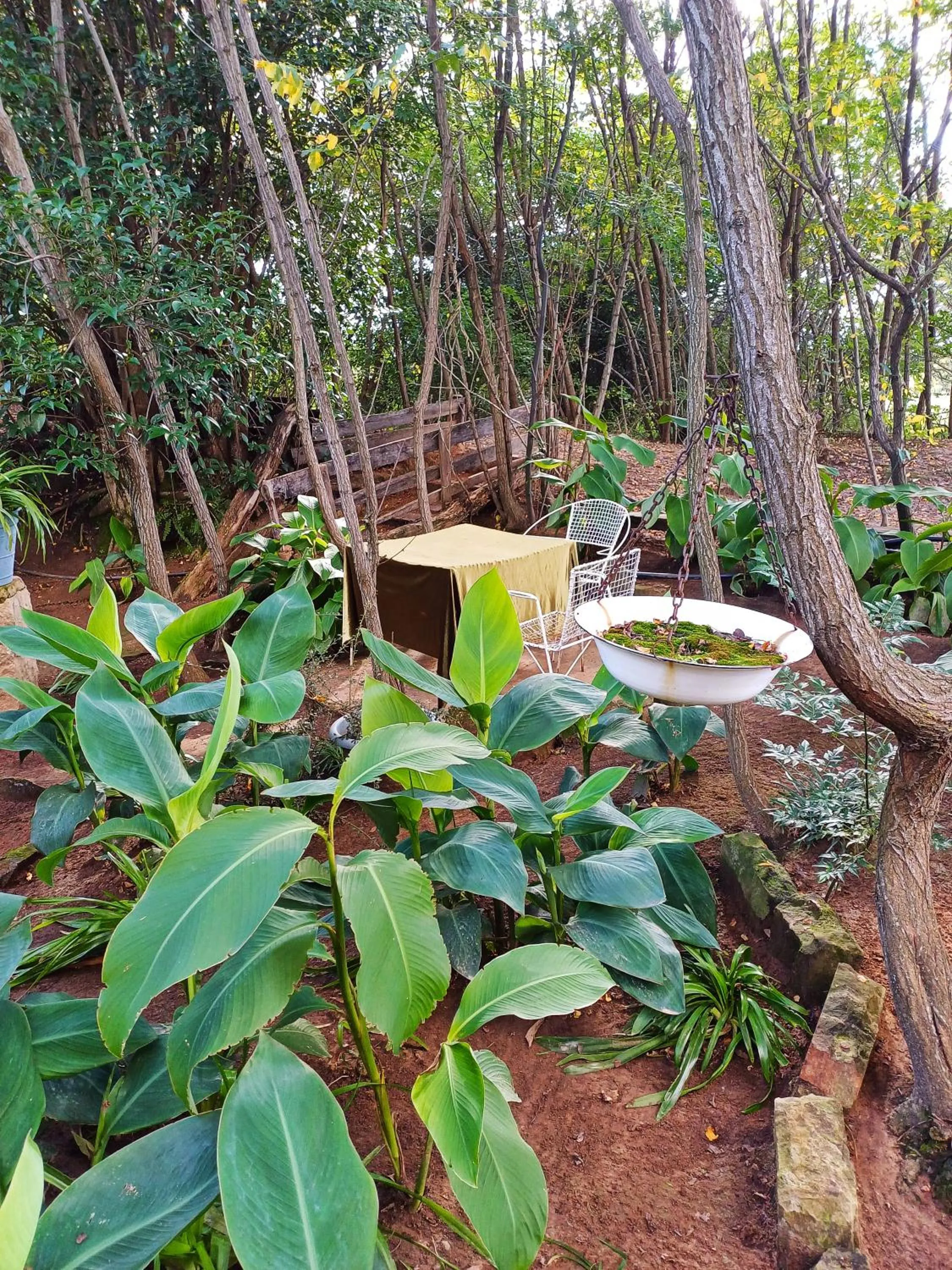 Garden in Affi lande Boetiek guestfarm