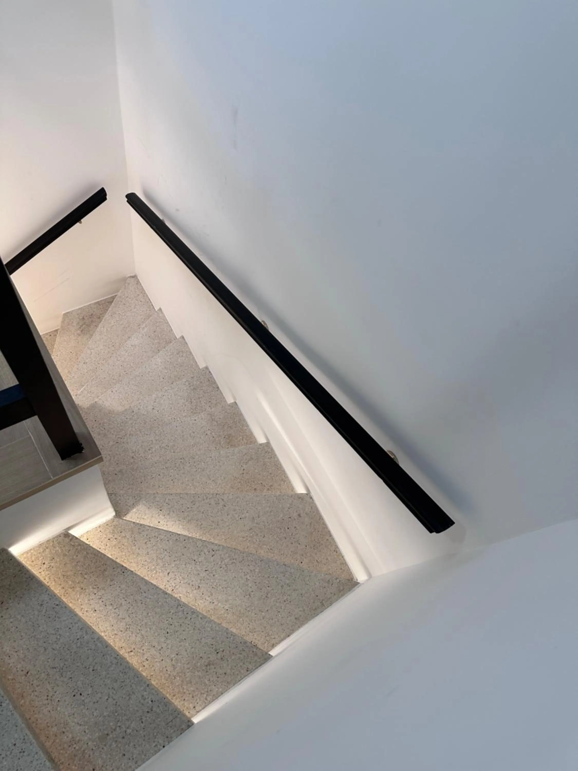 Area and facilities in Hotel Albert