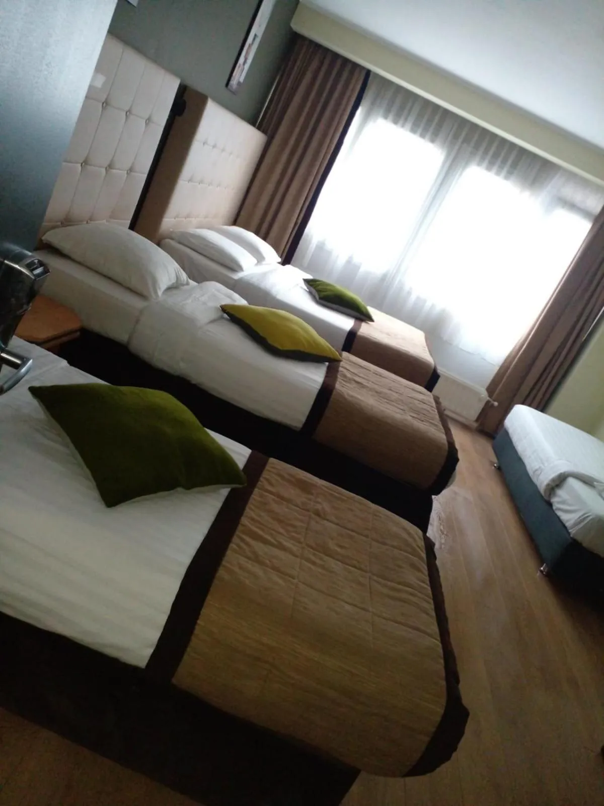 Photo of the whole room in Albert Hotel