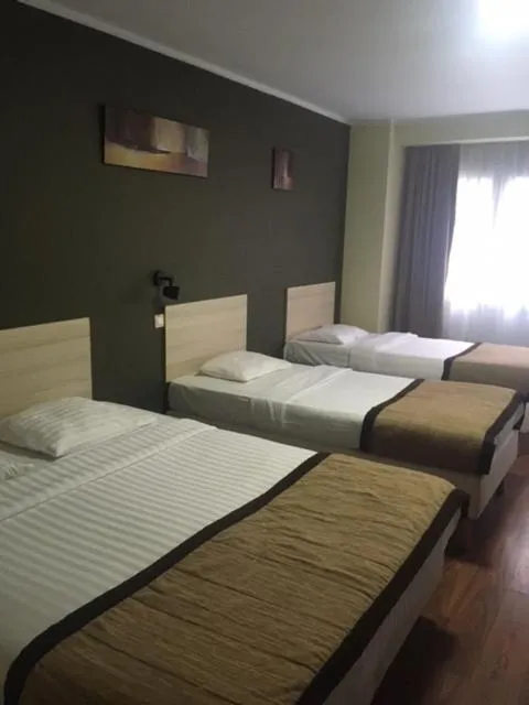 Bedroom in Albert Hotel