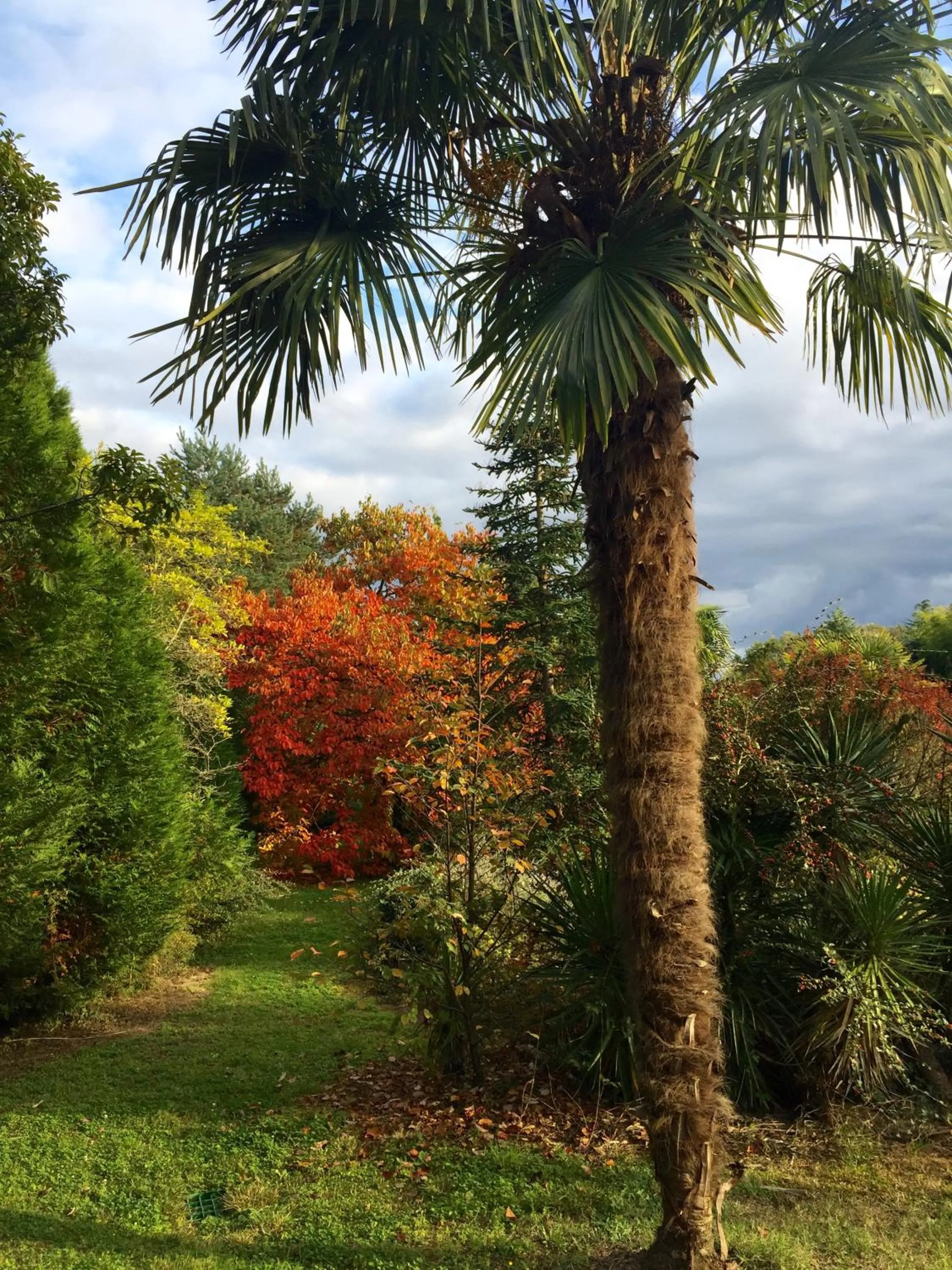 Garden in Le Belvédère