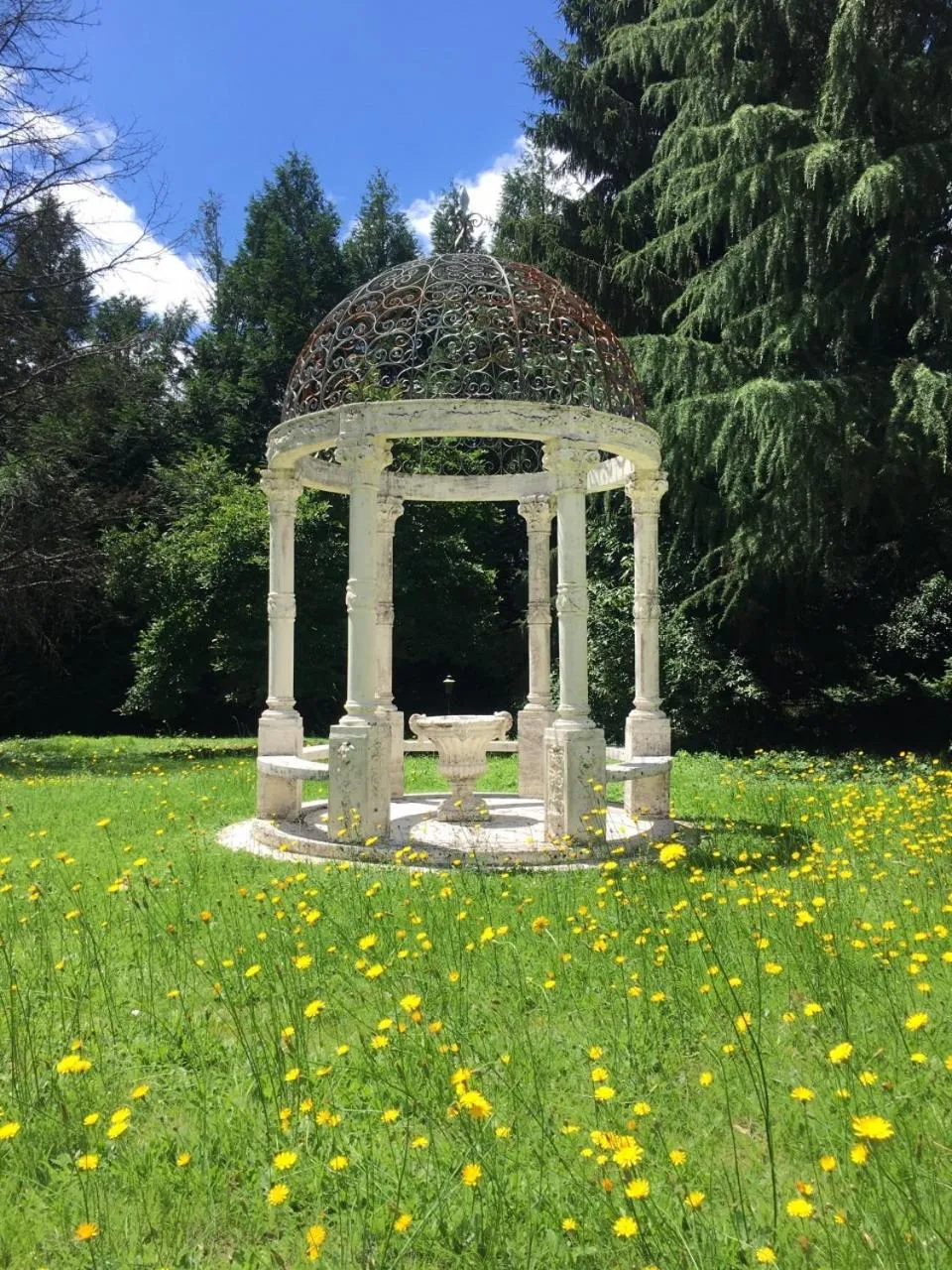 Garden in Le Belvédère