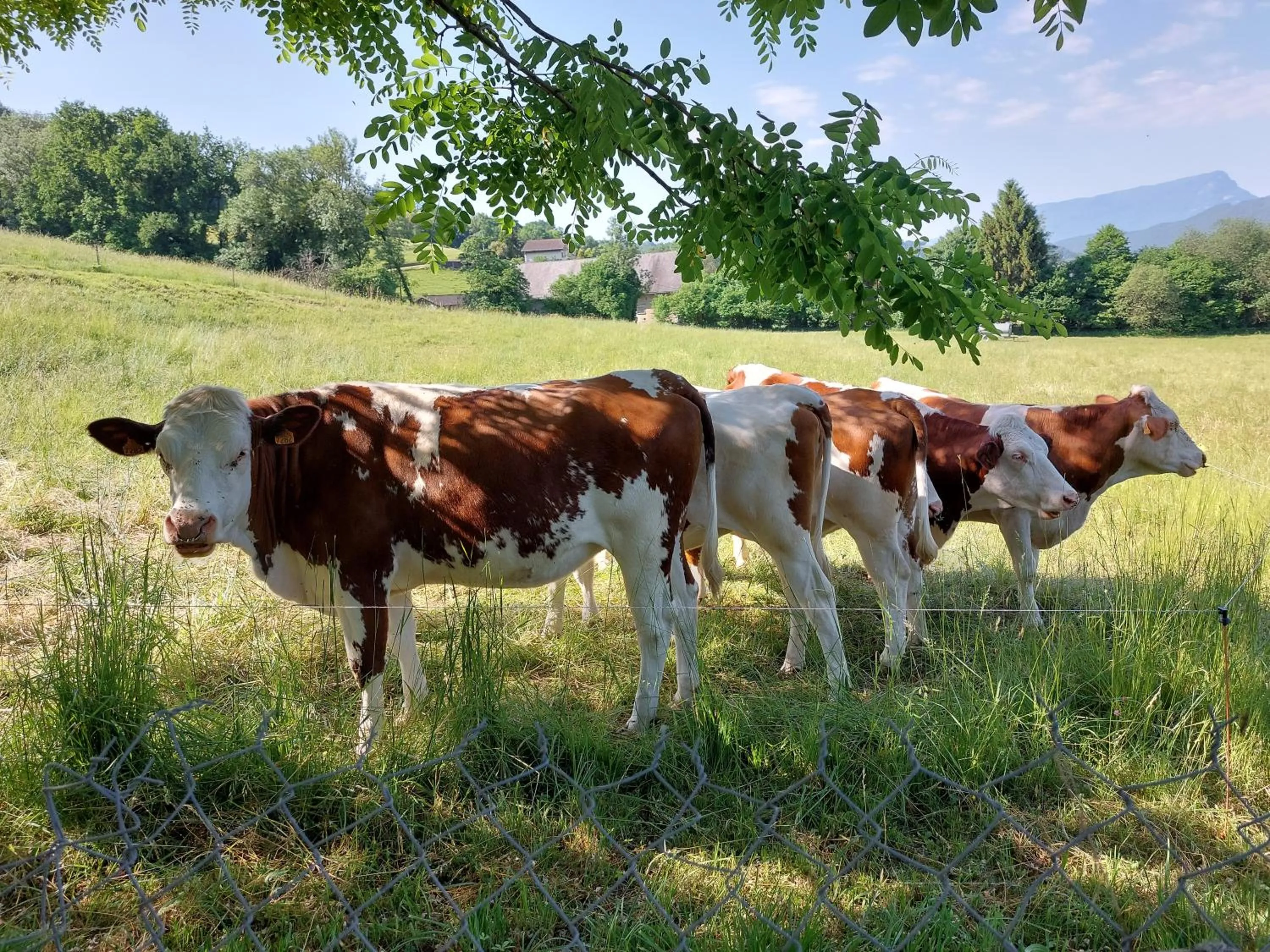 Natural landscape in Antre Lacs