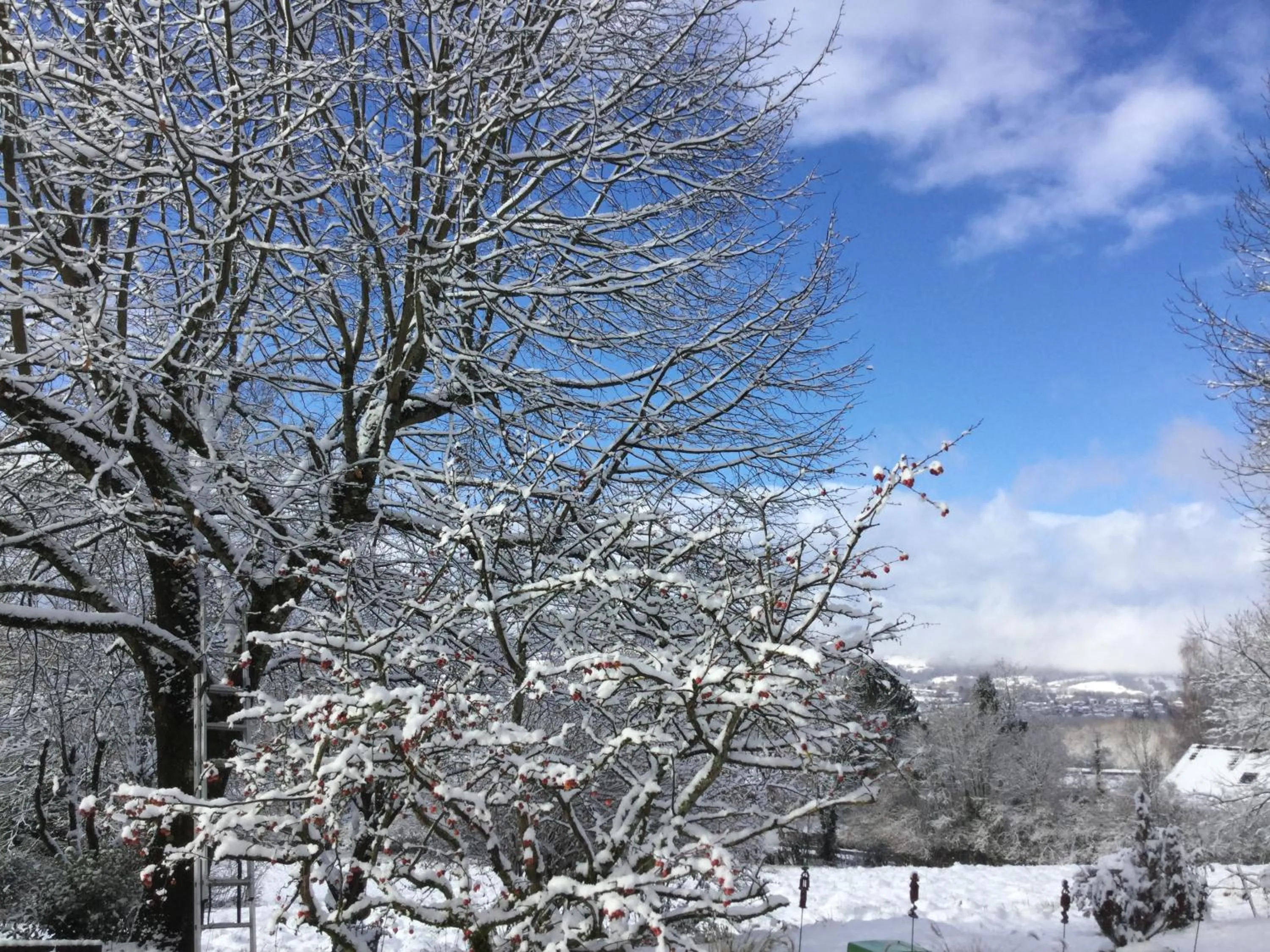 Winter in Antre Lacs