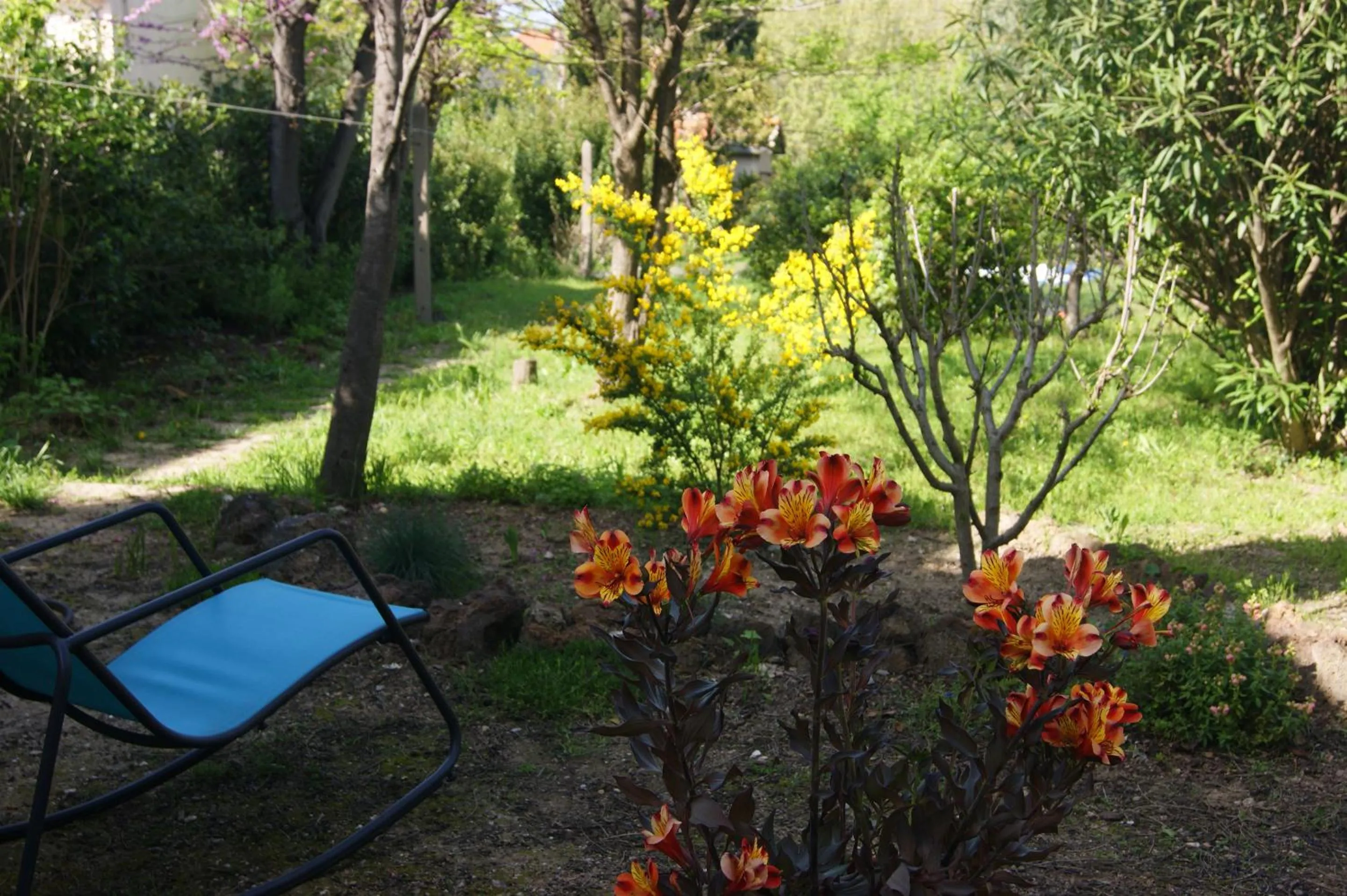 Garden in Le Petit Molière