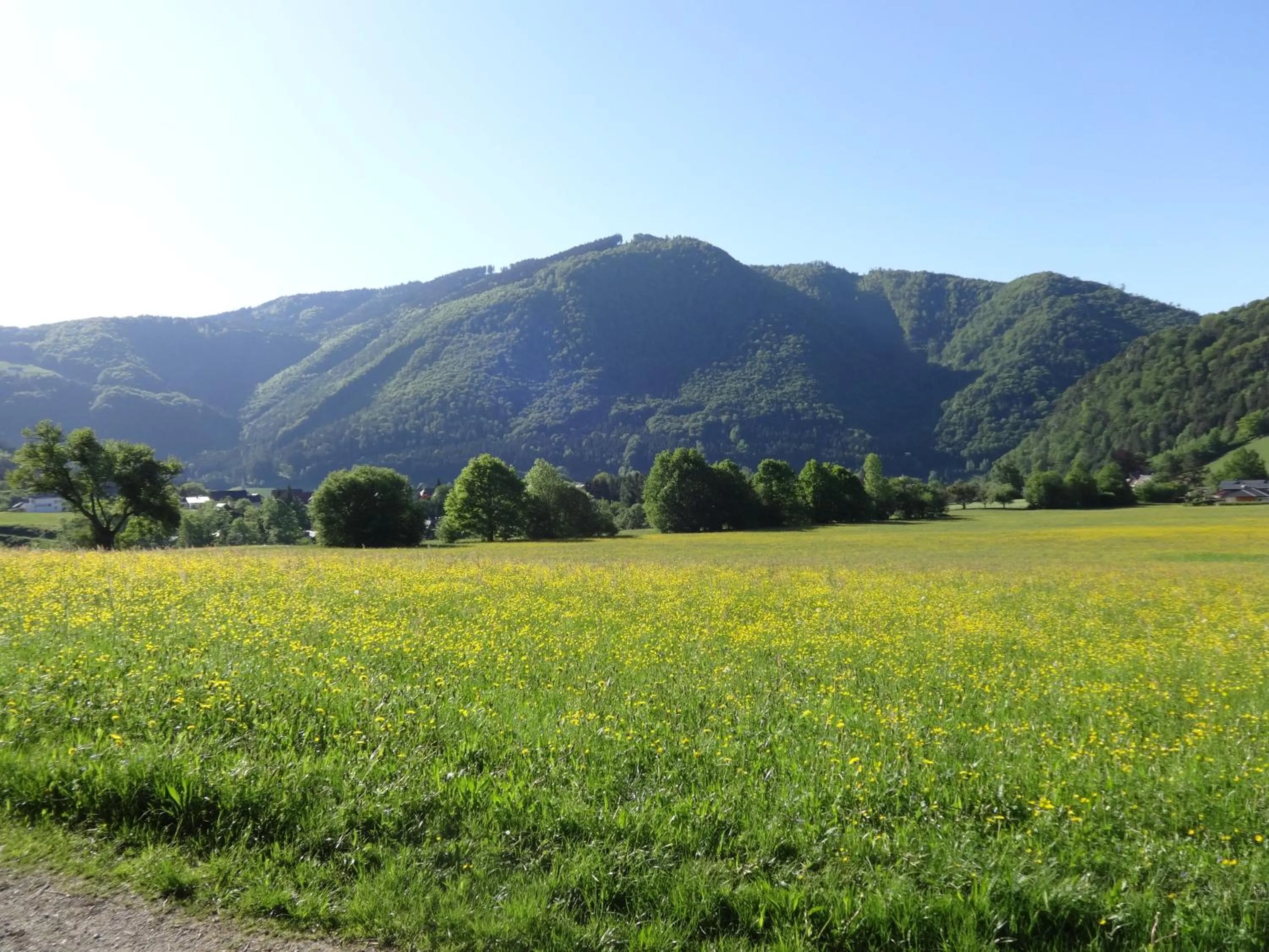 Frühstückspension Irmer