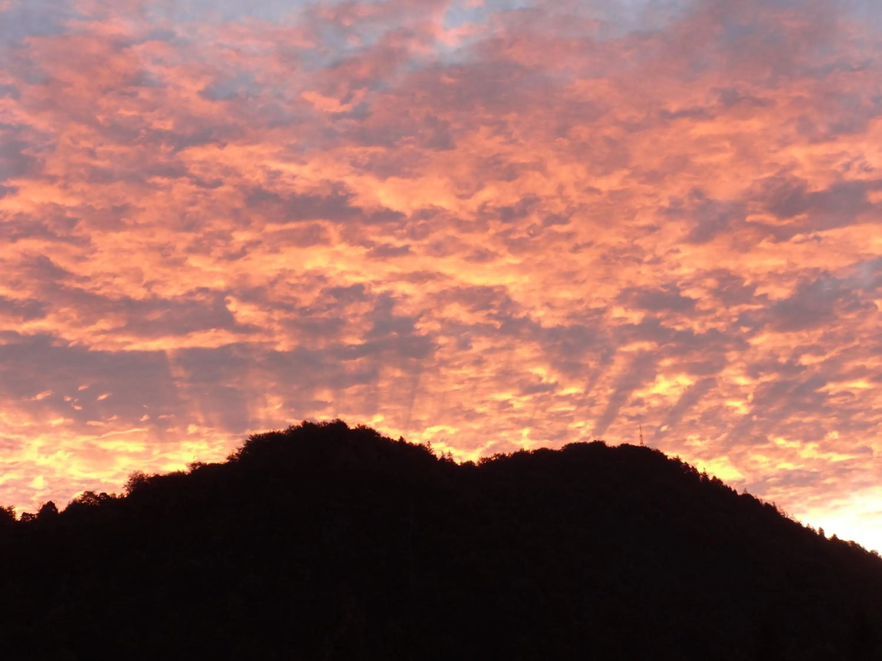 Hiking in Frühstückspension Irmer
