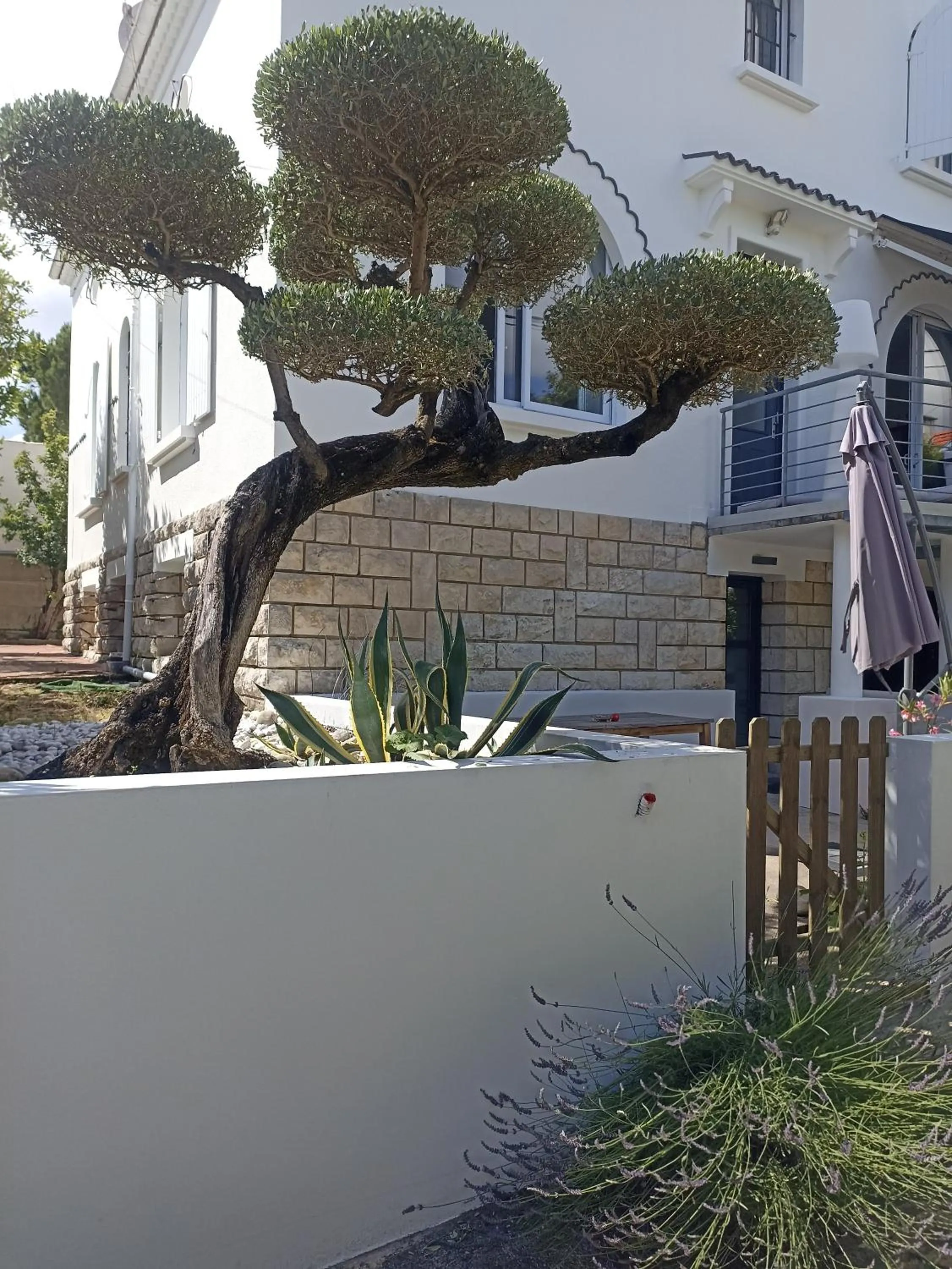 Property building in Chambres d'Hôtes LA PASTOURELLE Royan centre