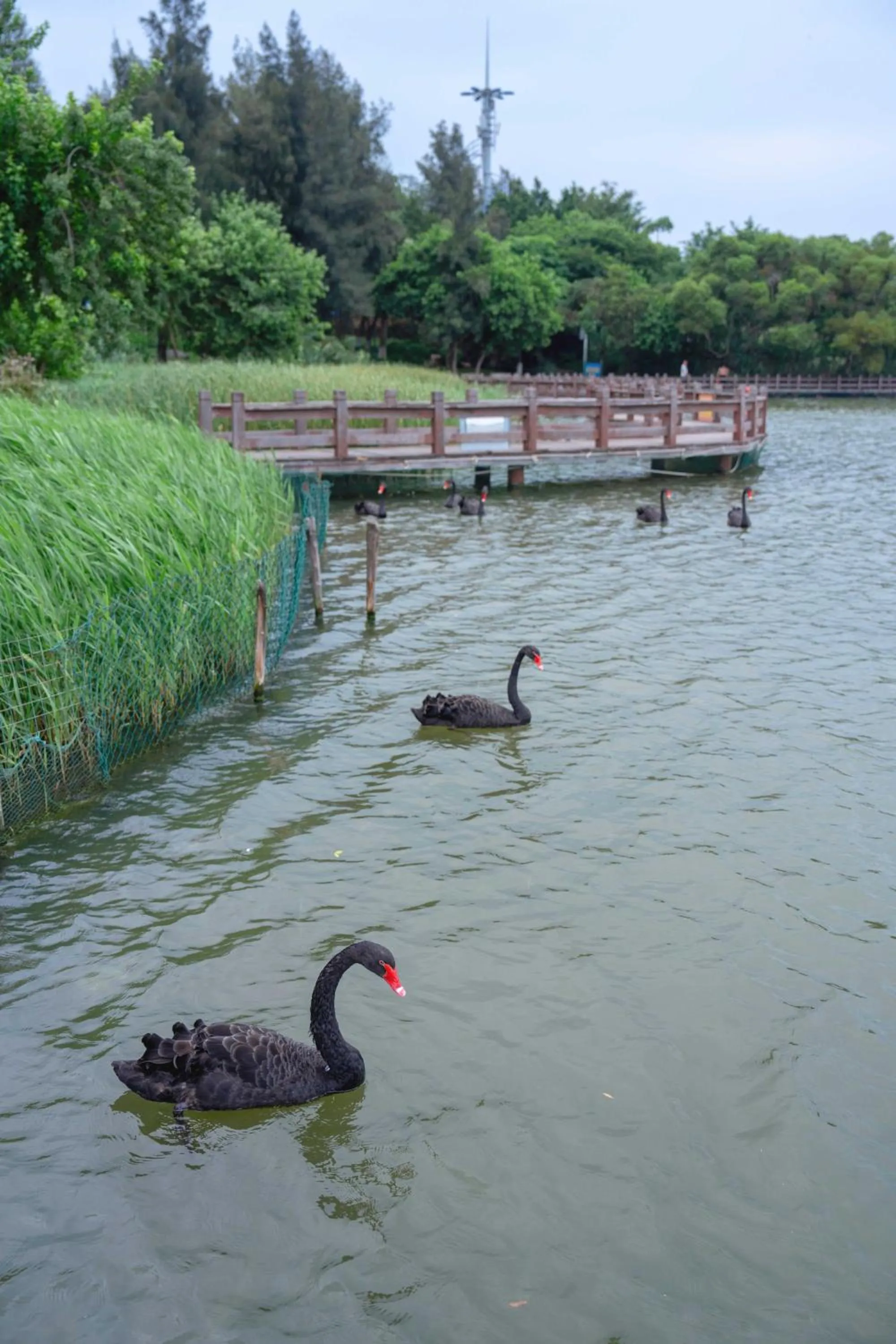 Other in Hyatt Regency Xiamen Wuyuanwan