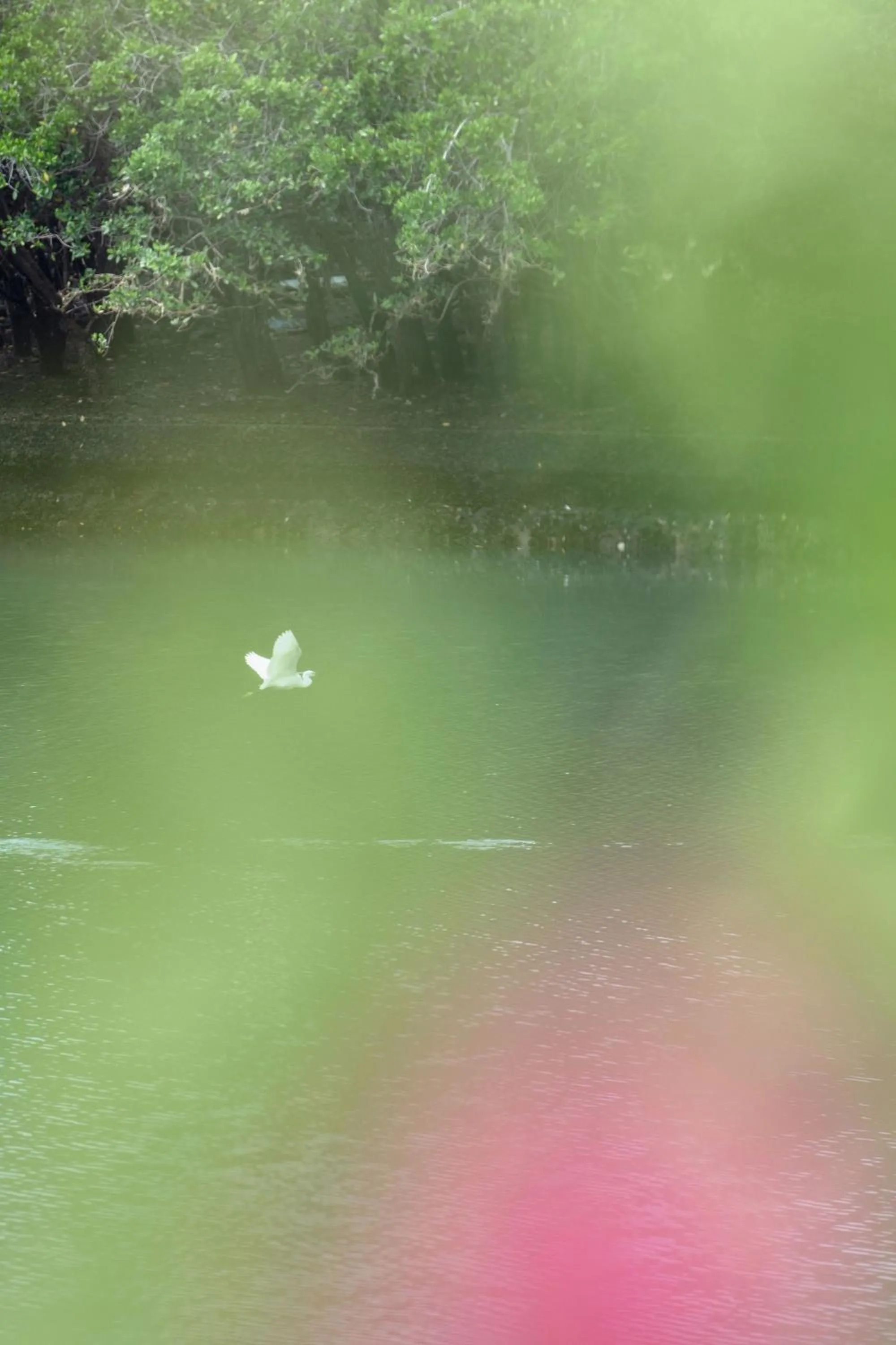 Other in Hyatt Regency Xiamen Wuyuanwan