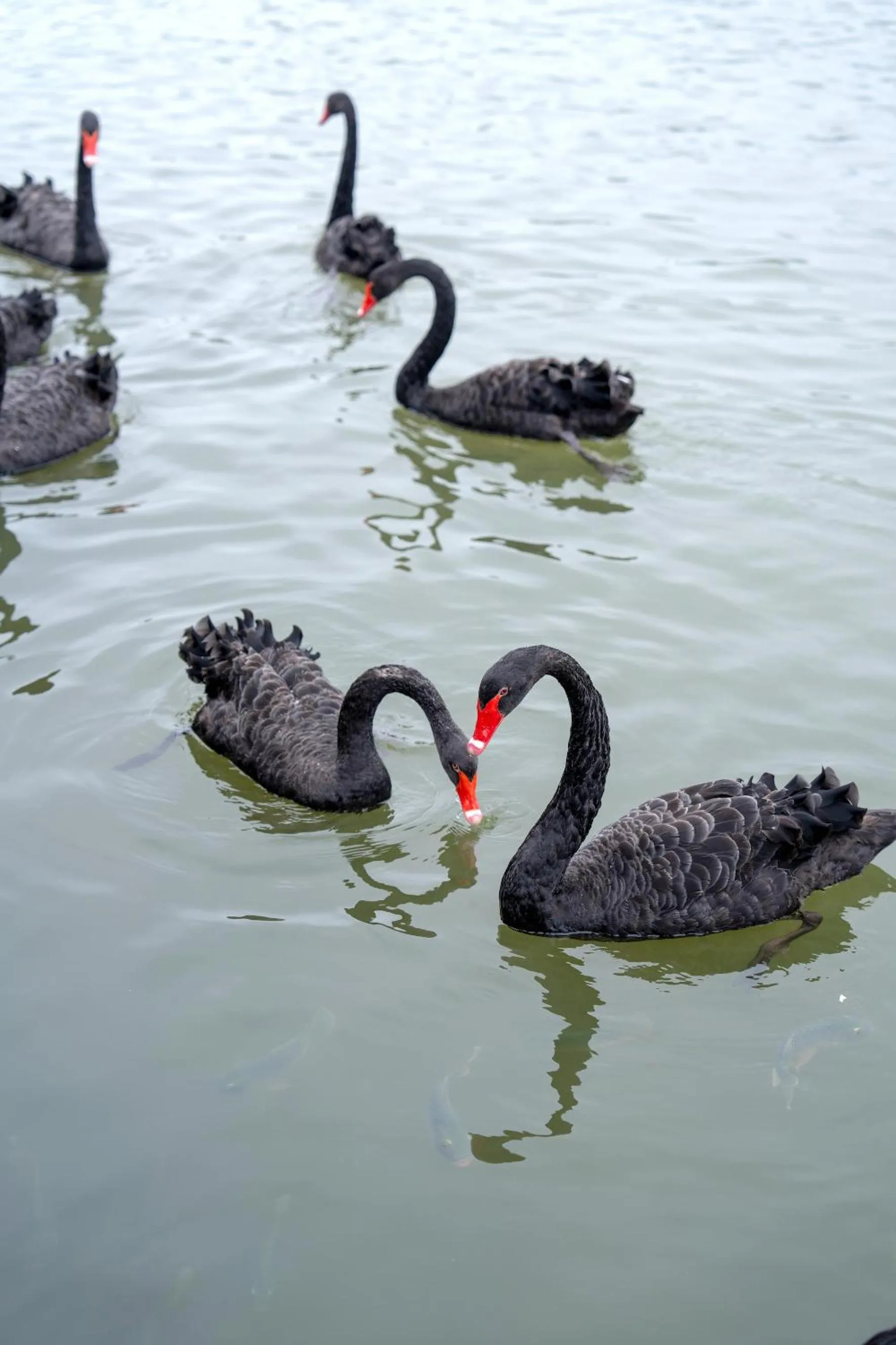 Other in Hyatt Regency Xiamen Wuyuanwan