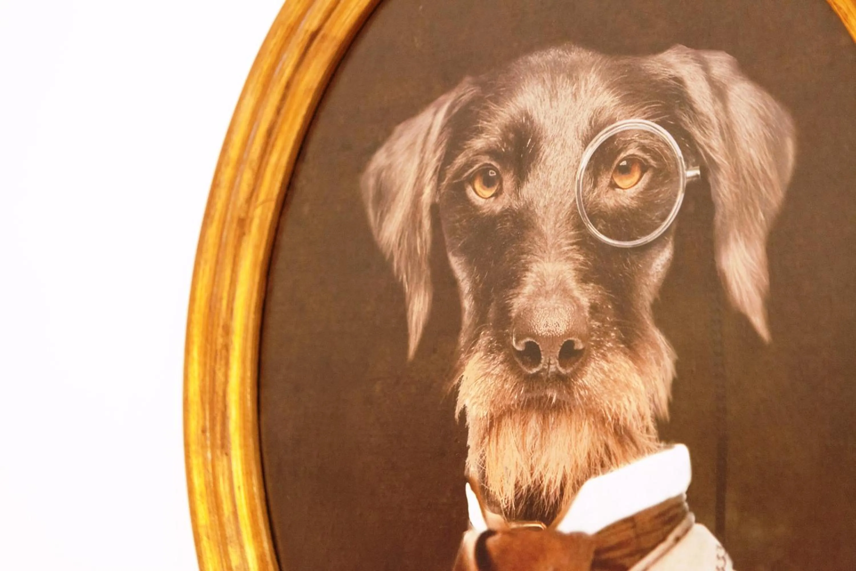 Decorative detail in Popolo & Flaminio Rooms