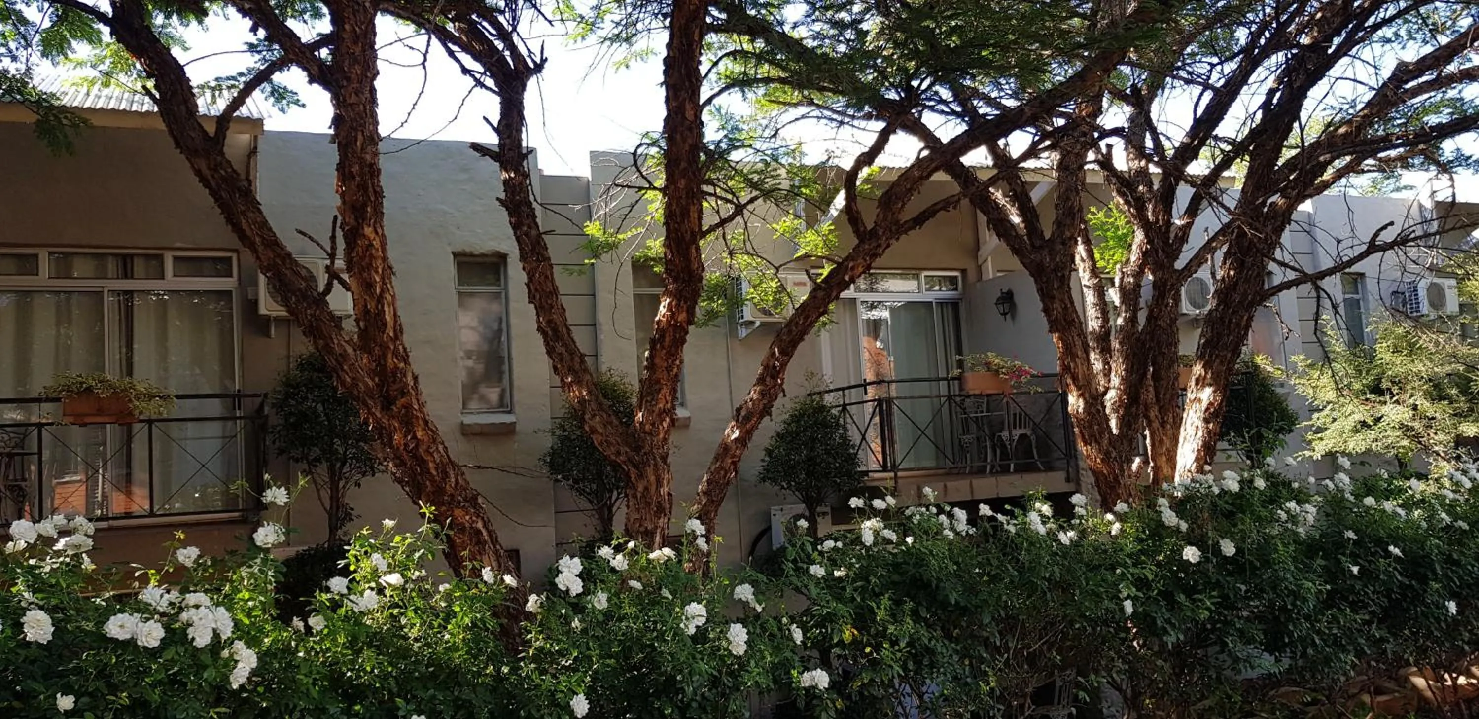 Property building in Villa Paradiso