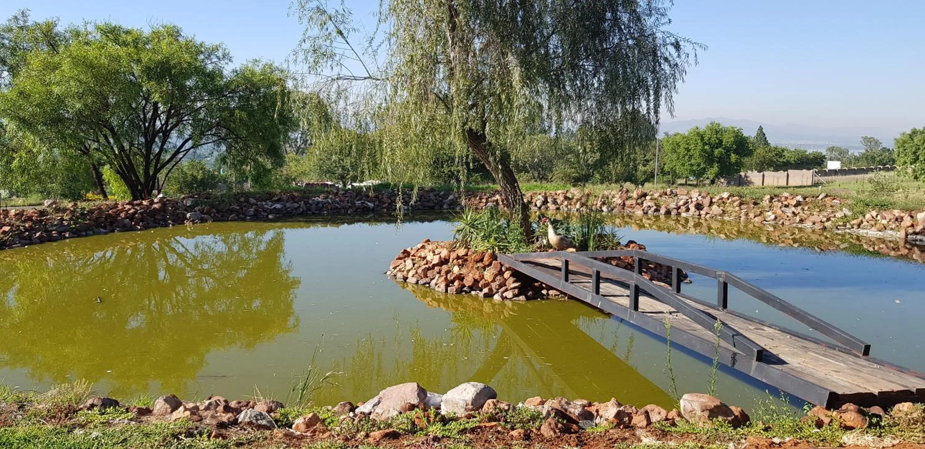 Property building in Villa Paradiso