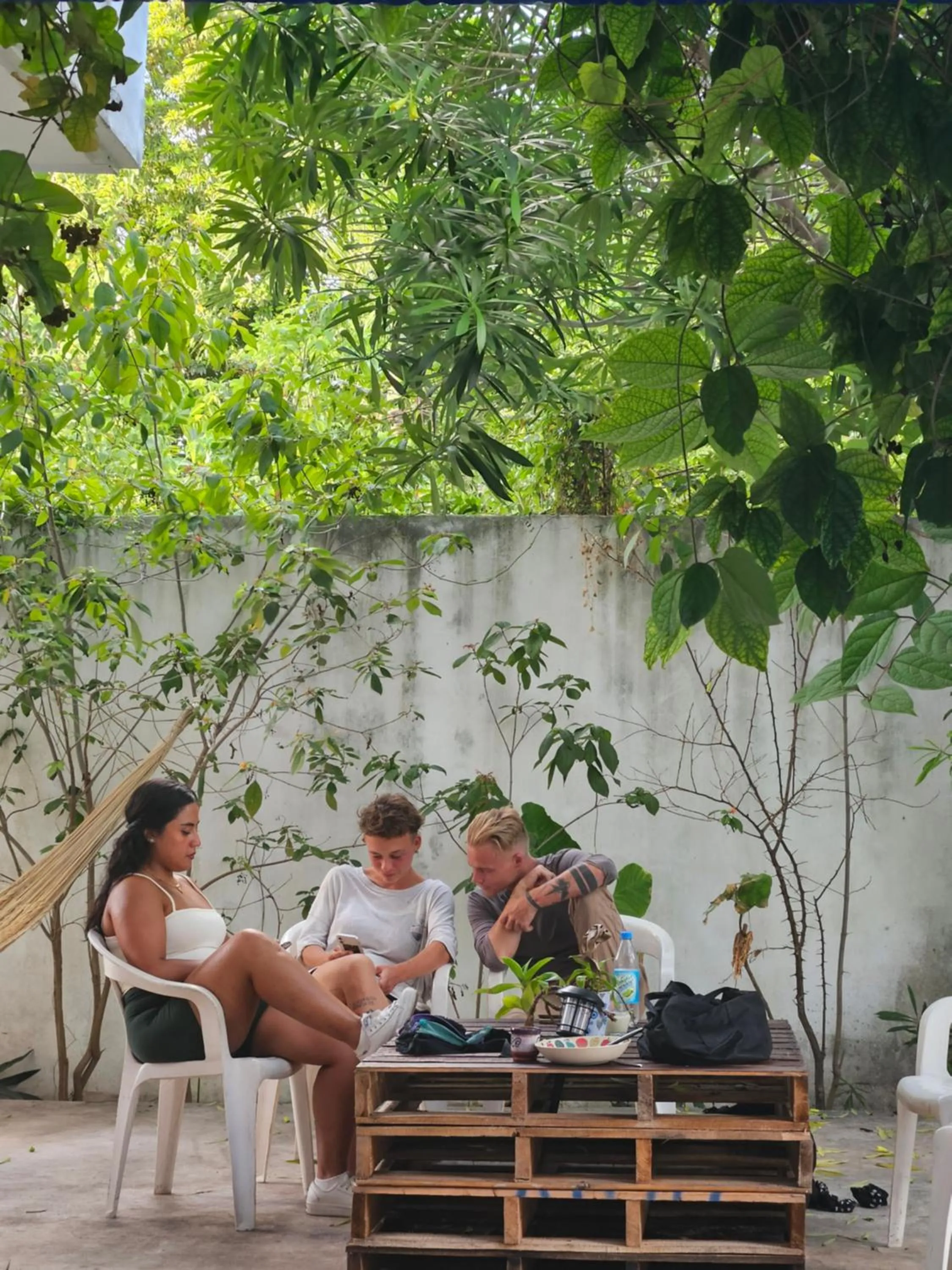 Garden in Hostel Humanity - Puerto Morelos