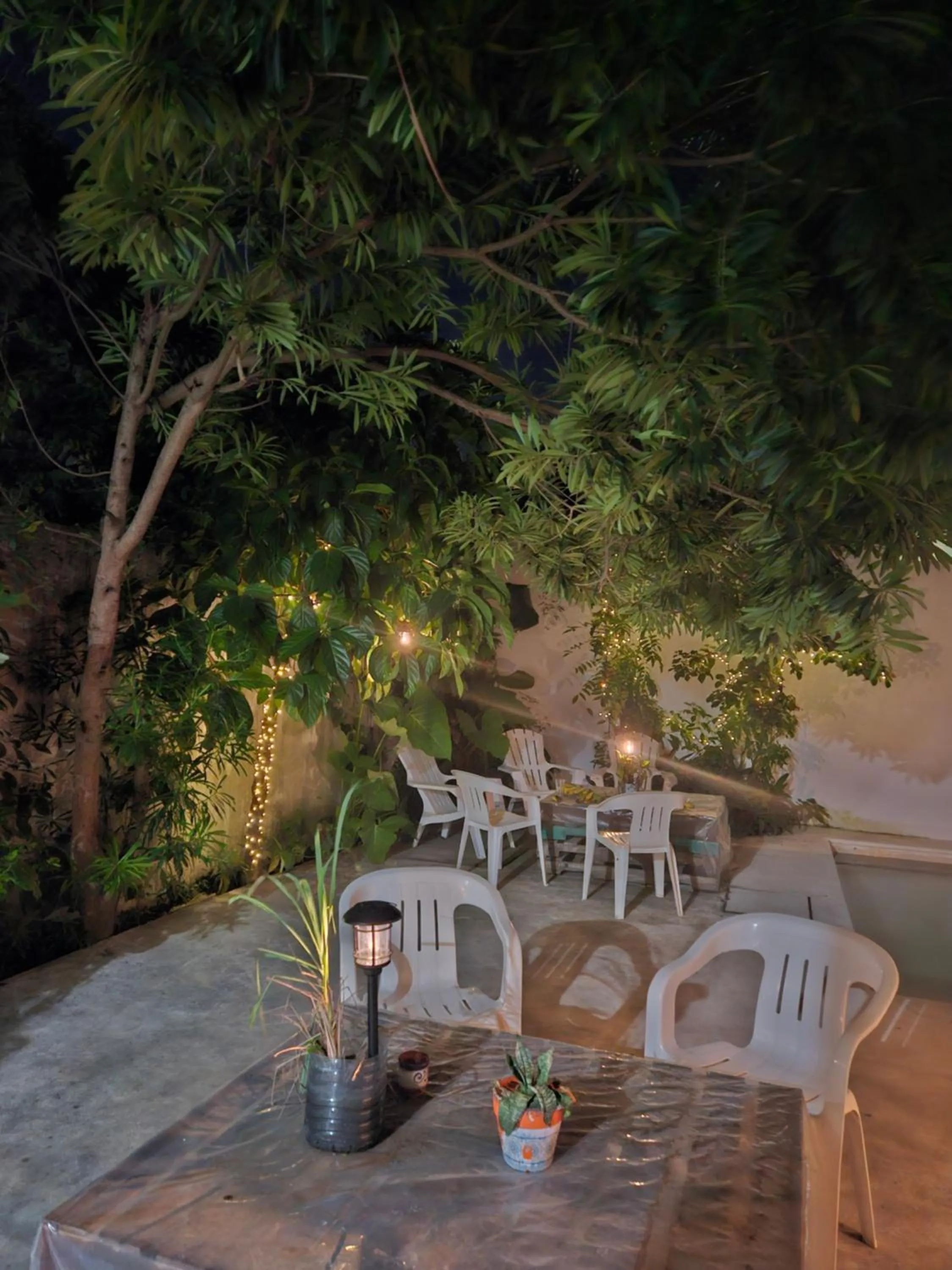 Garden in Hostel Humanity - Puerto Morelos