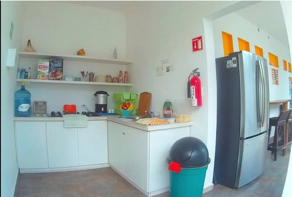 Kitchen or kitchenette in Hostel Humanity - Puerto Morelos