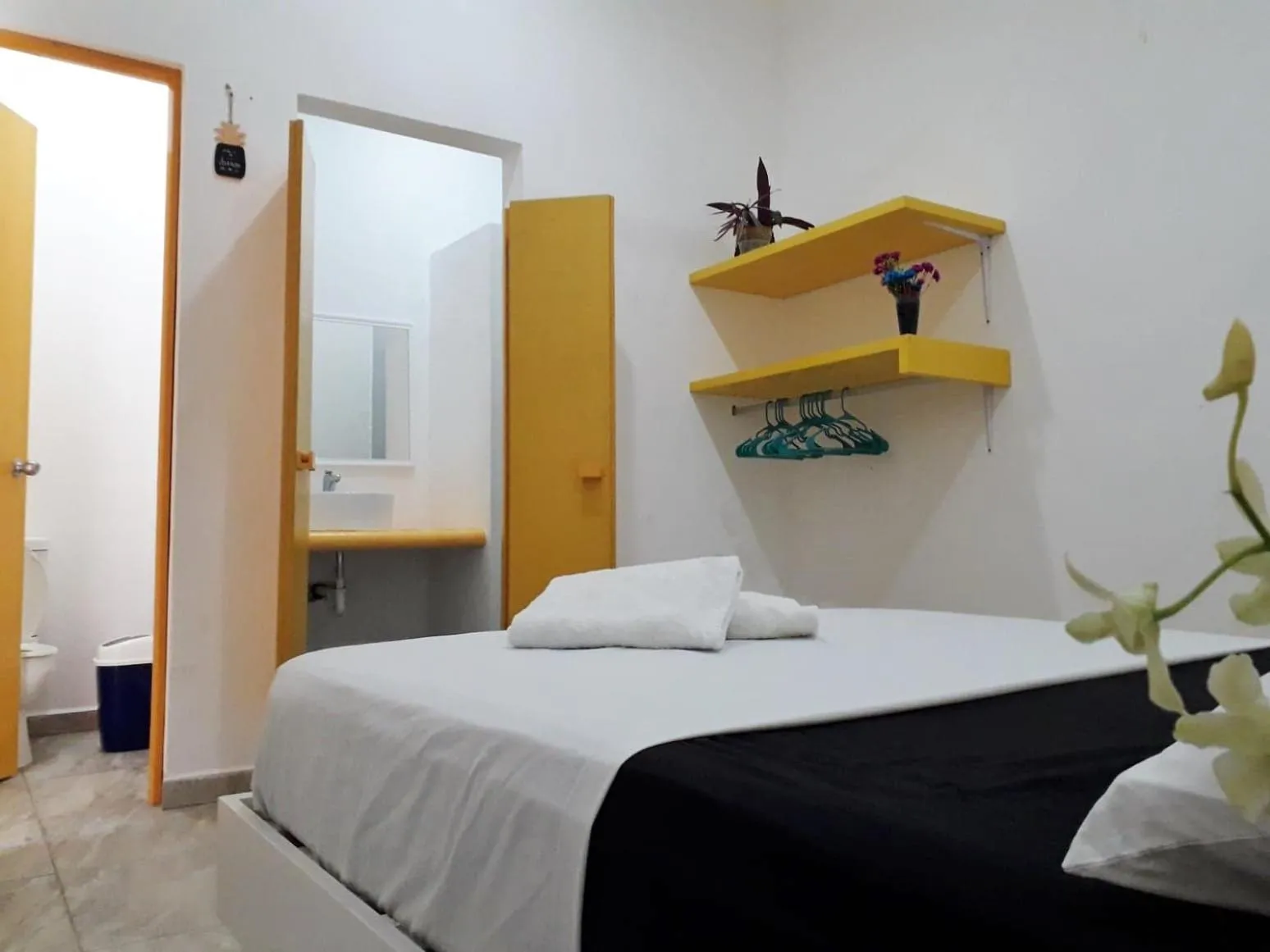 Bed in Hostel Humanity - Puerto Morelos