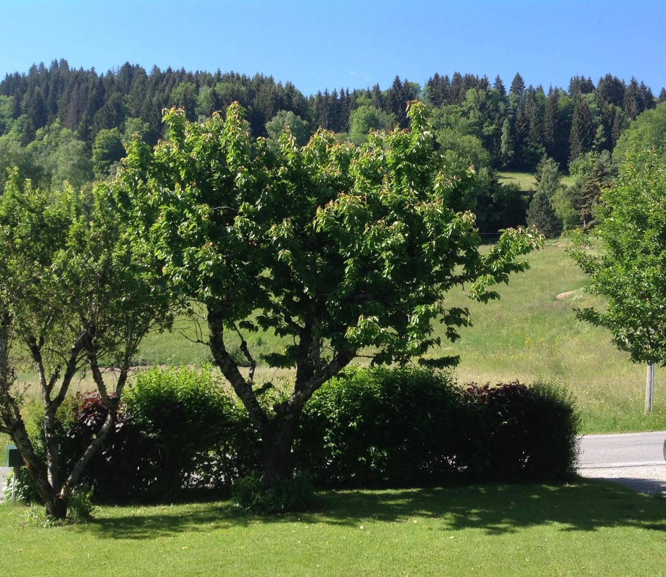 Street view in Appartement St Nicolas