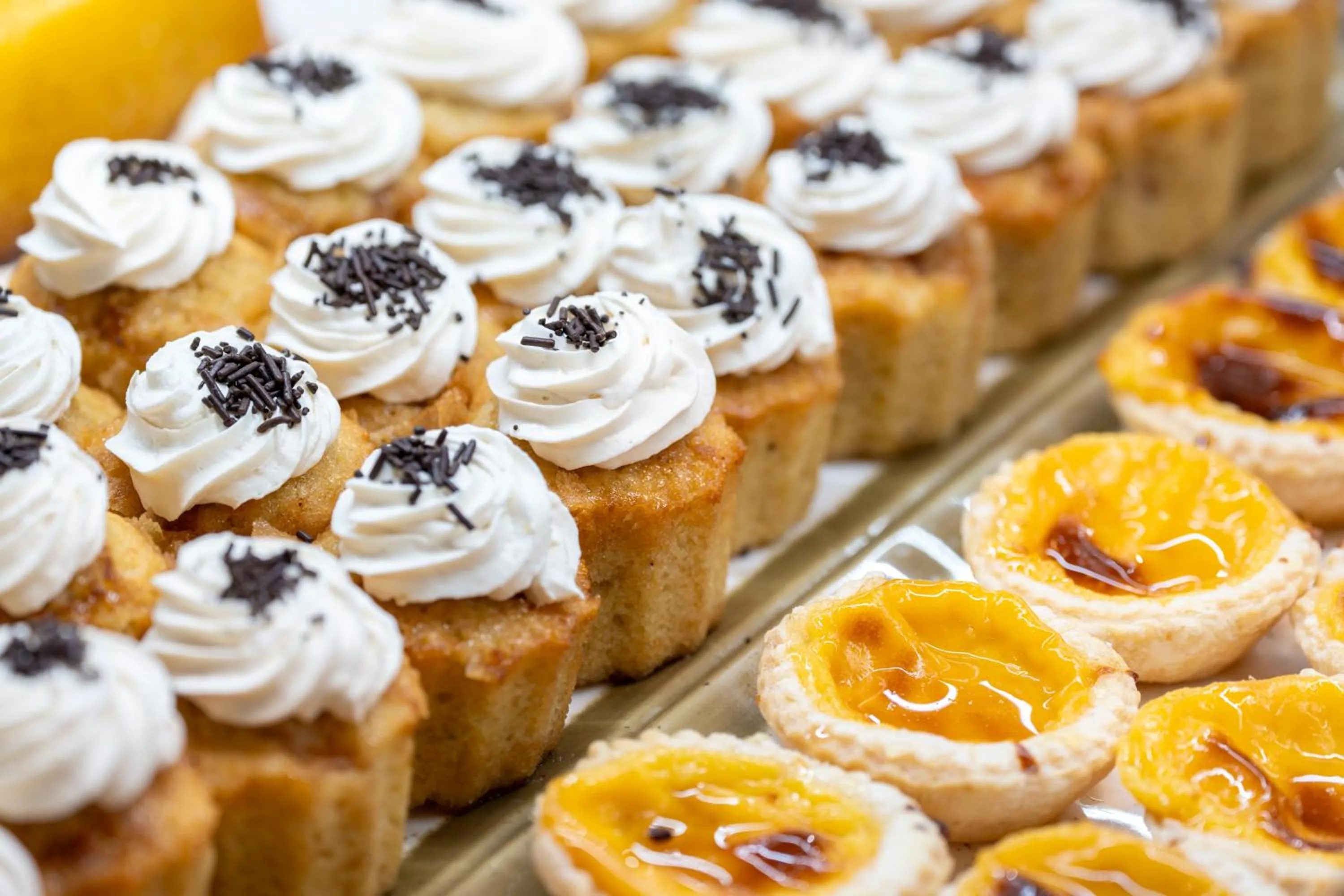 Food in Occidental Boa Vista Beach