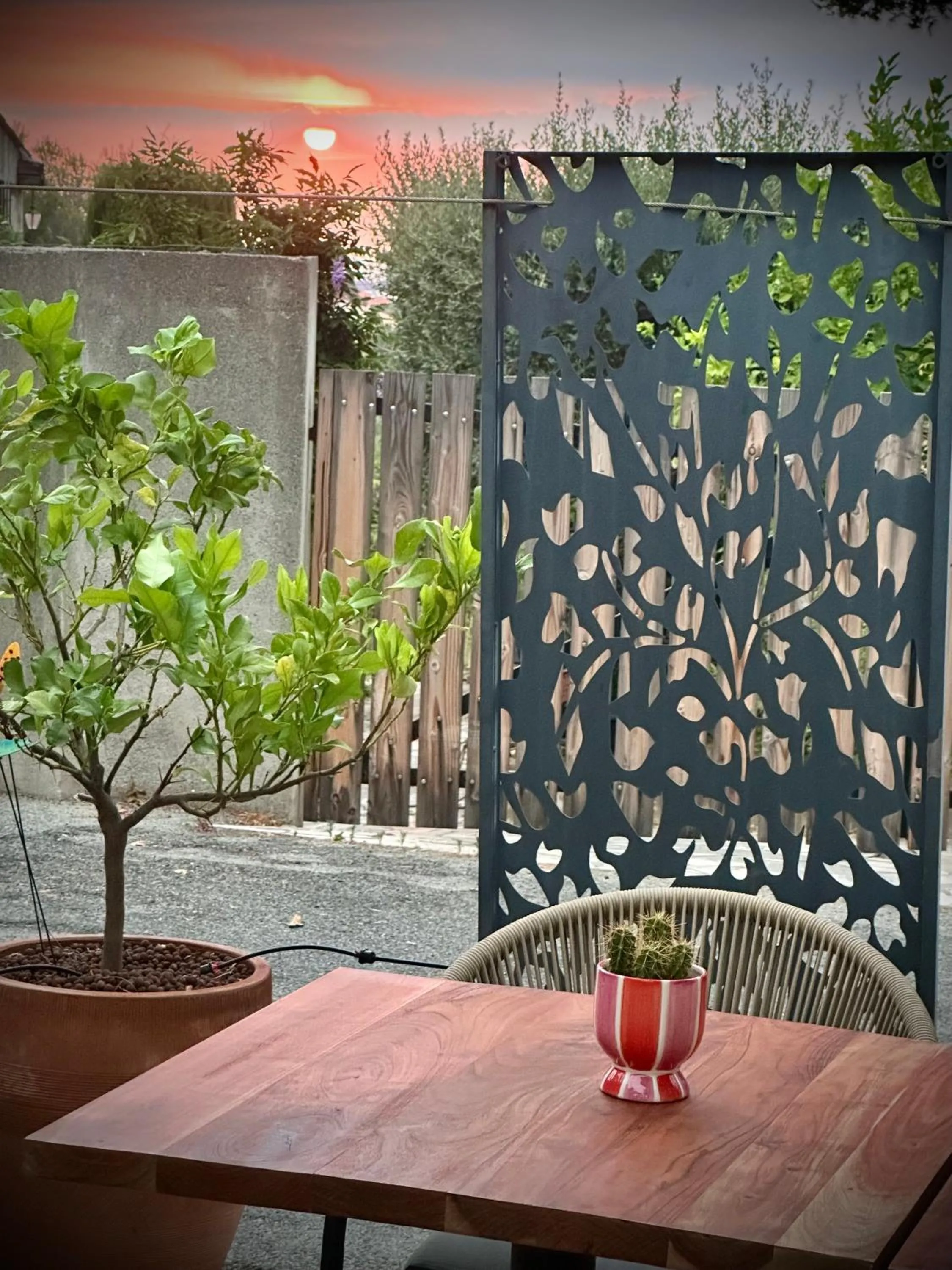 Patio in Hôtel Auberge Provençale