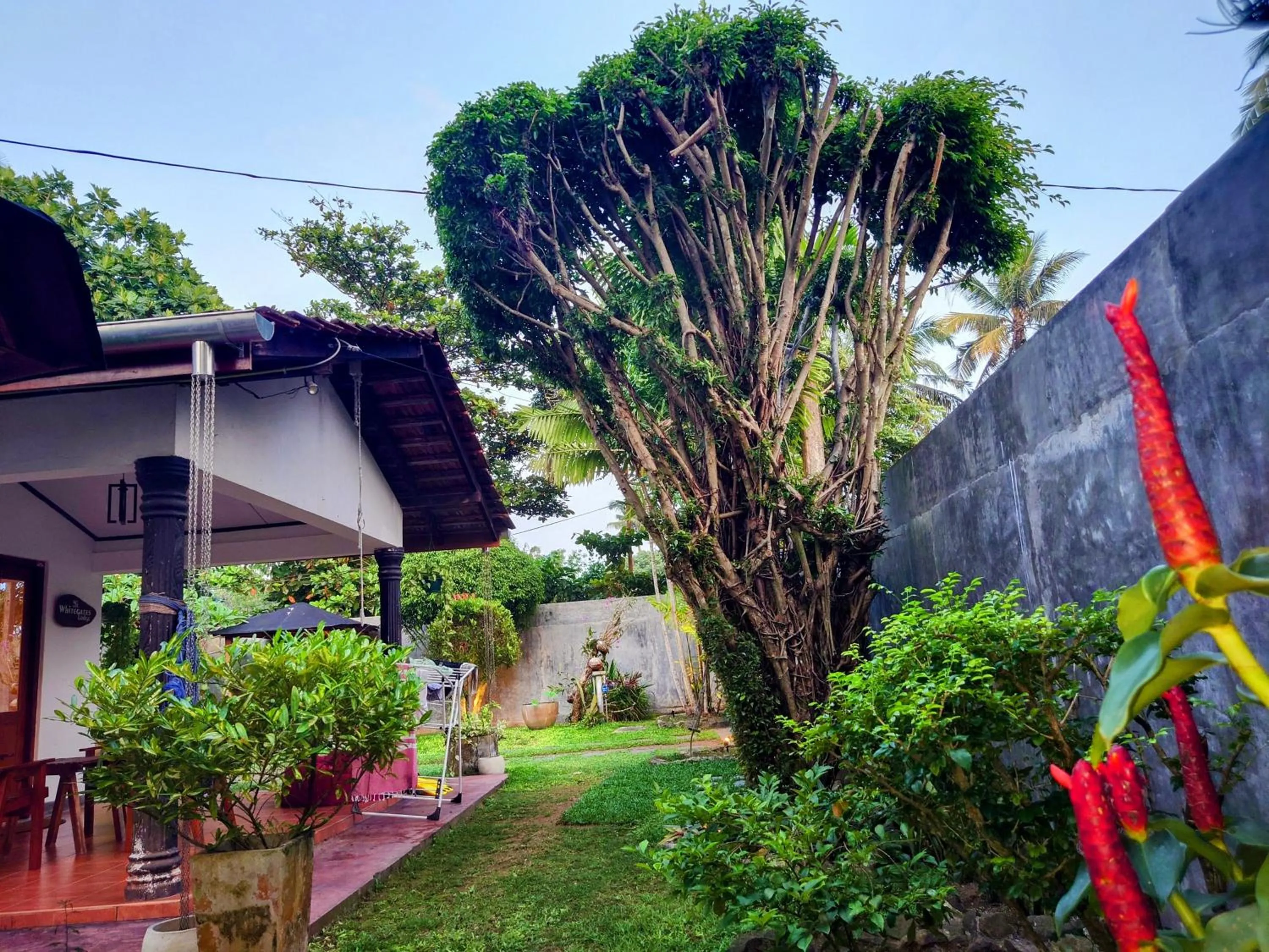 Garden view in The Whitegates Lodge