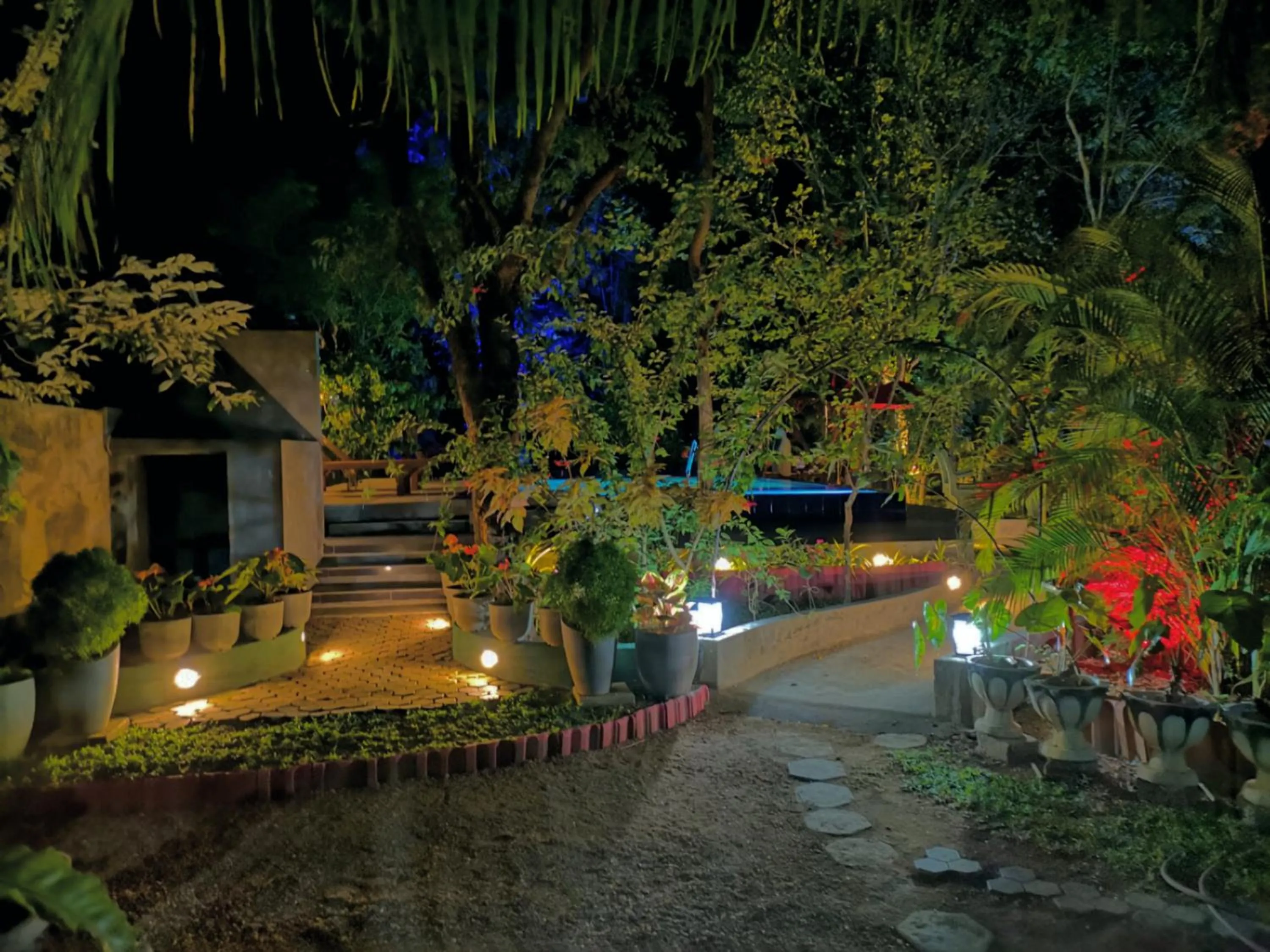 Garden in Levona Garden Resort