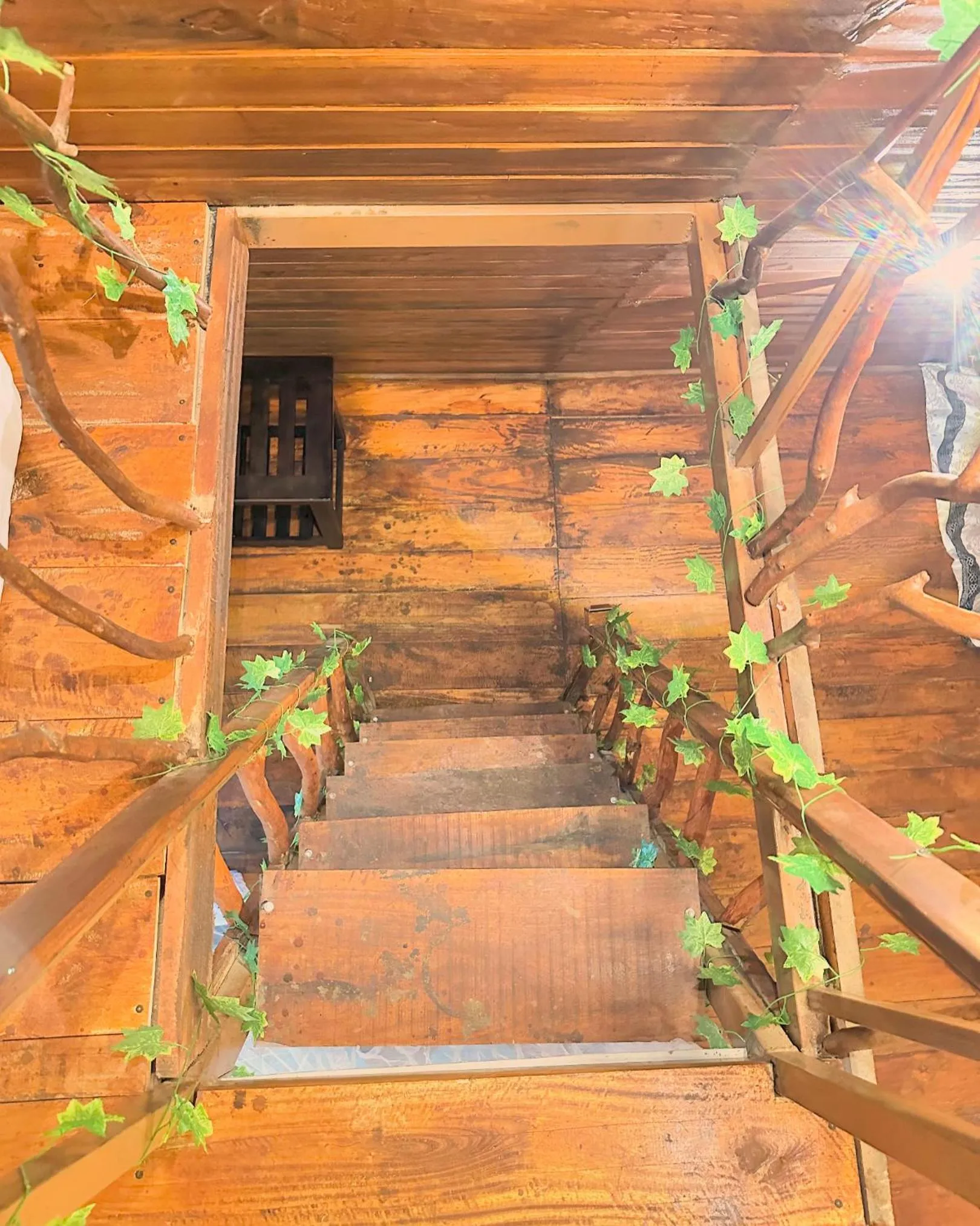 Levona Garden Resort