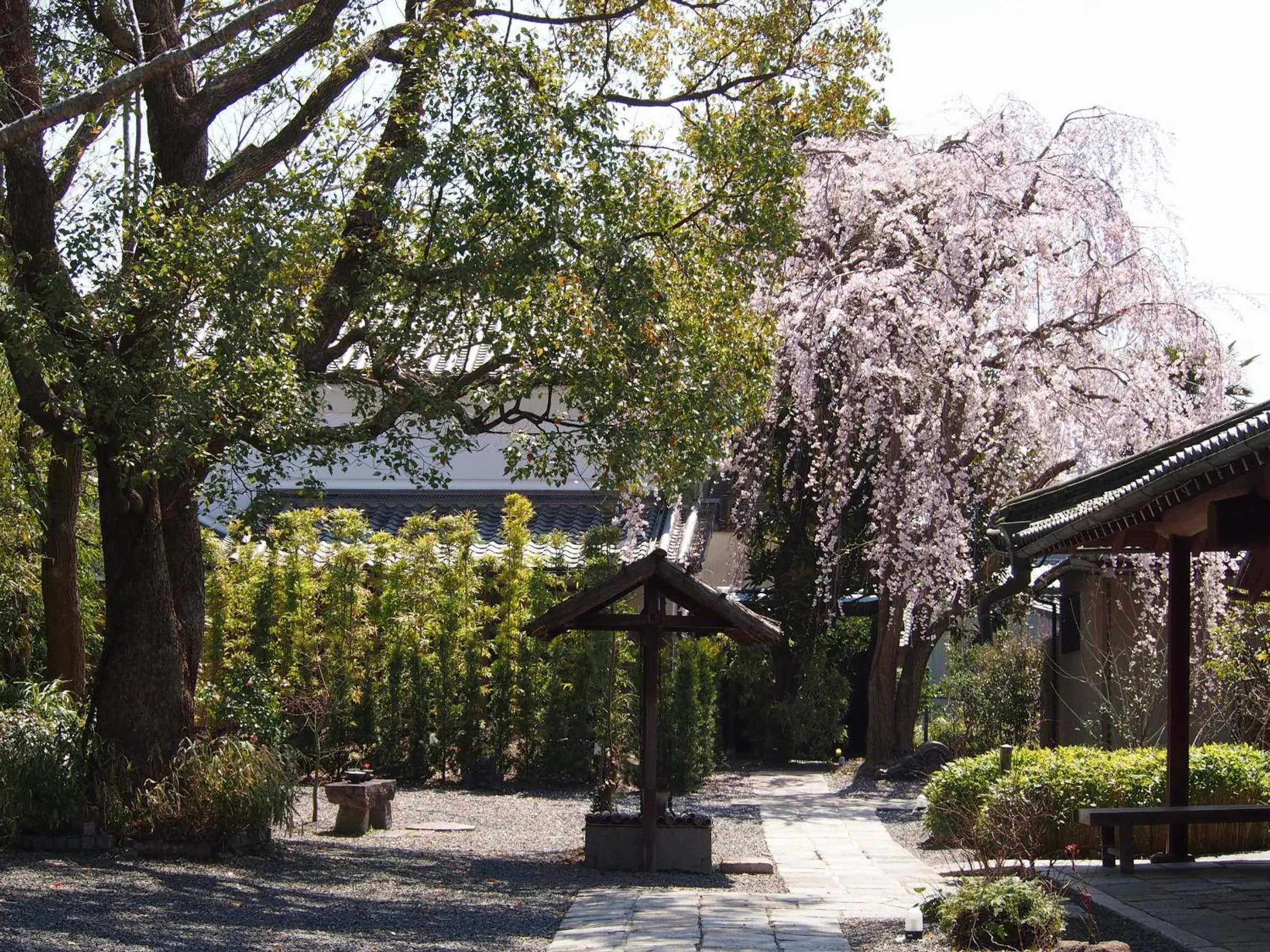 Spring in Ubusuna no Sato TOMIMOTO