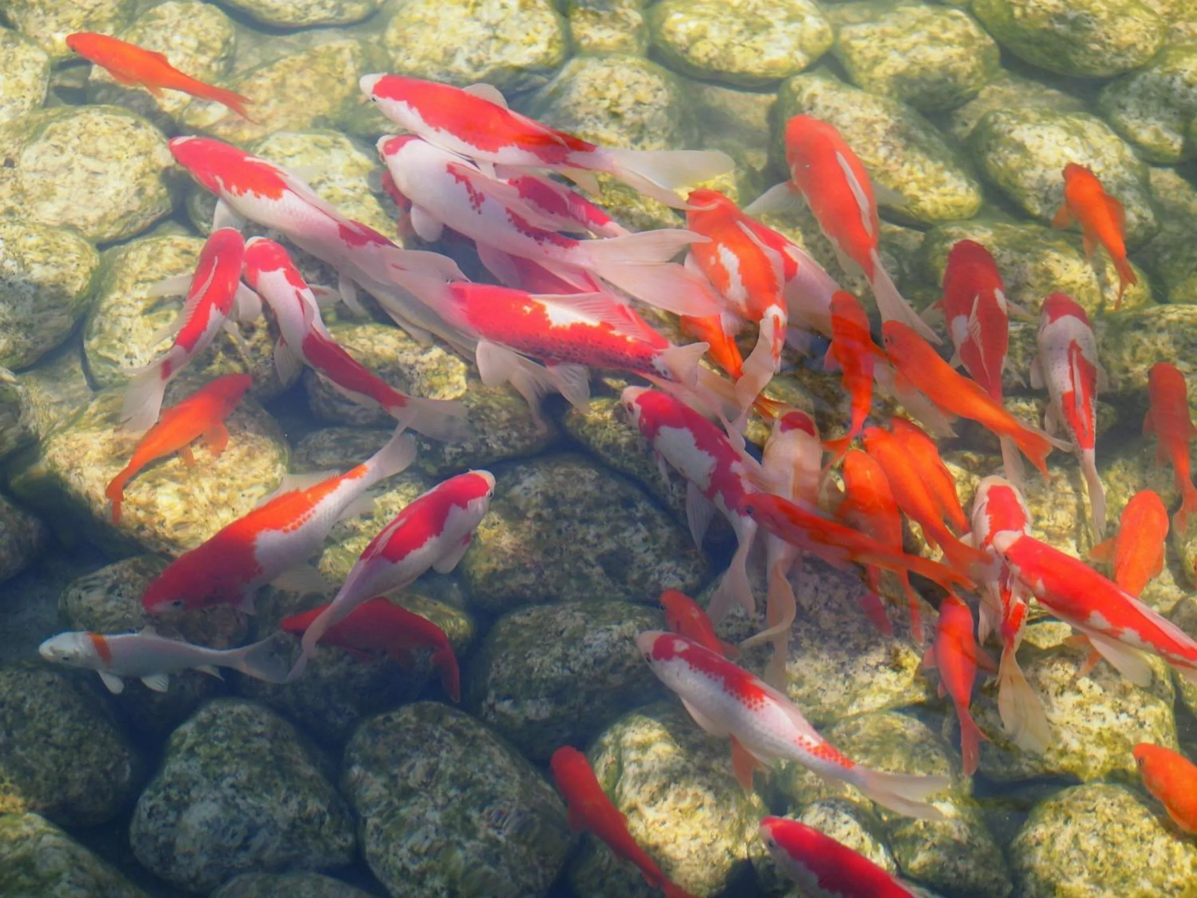 Natural landscape in Ubusuna no Sato TOMIMOTO