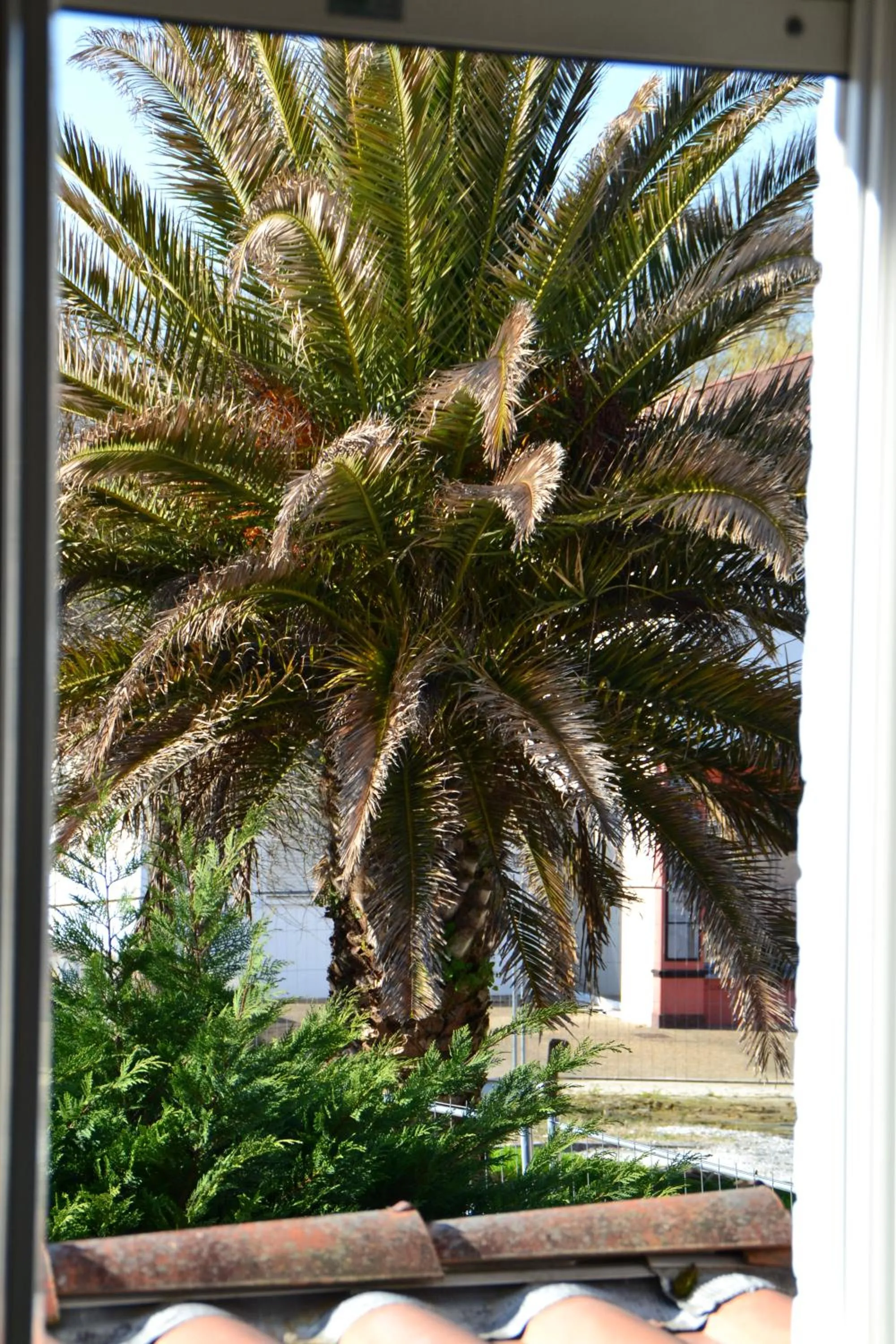 Neighbourhood in Le Ptit Ecureuil