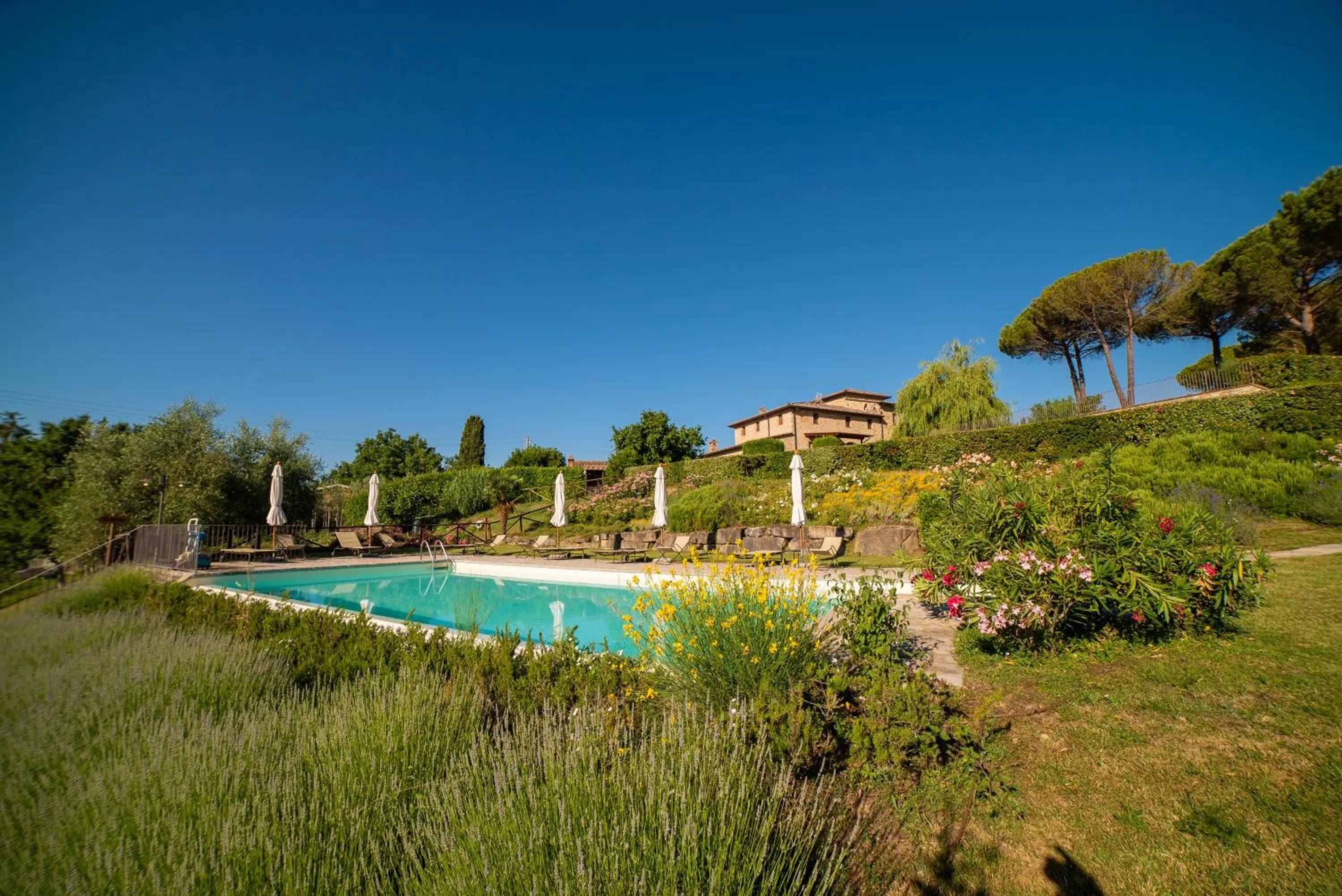 Swimming pool in Cavarchino B&B