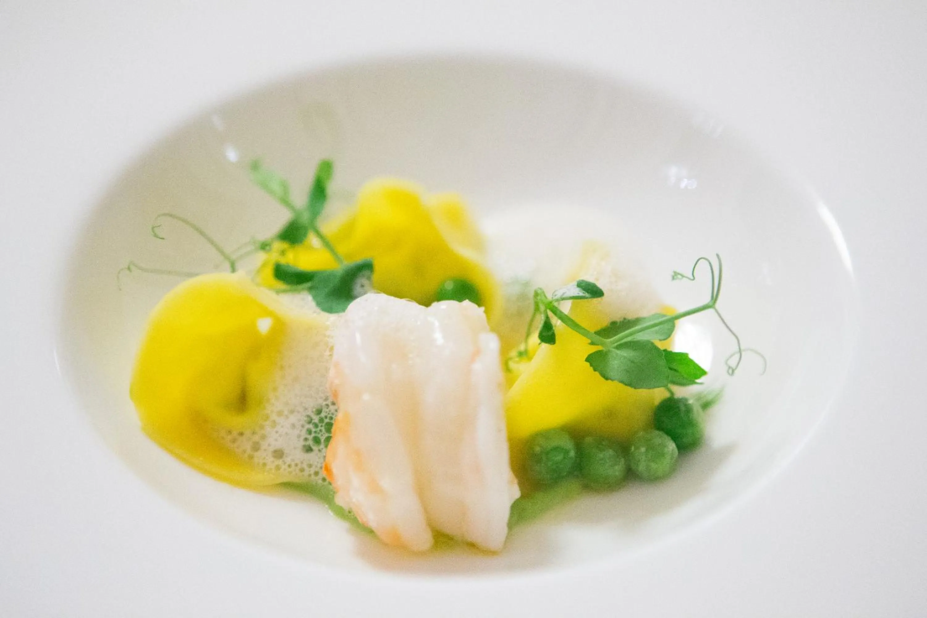 Food and drinks in Pension Ludwig Thoma