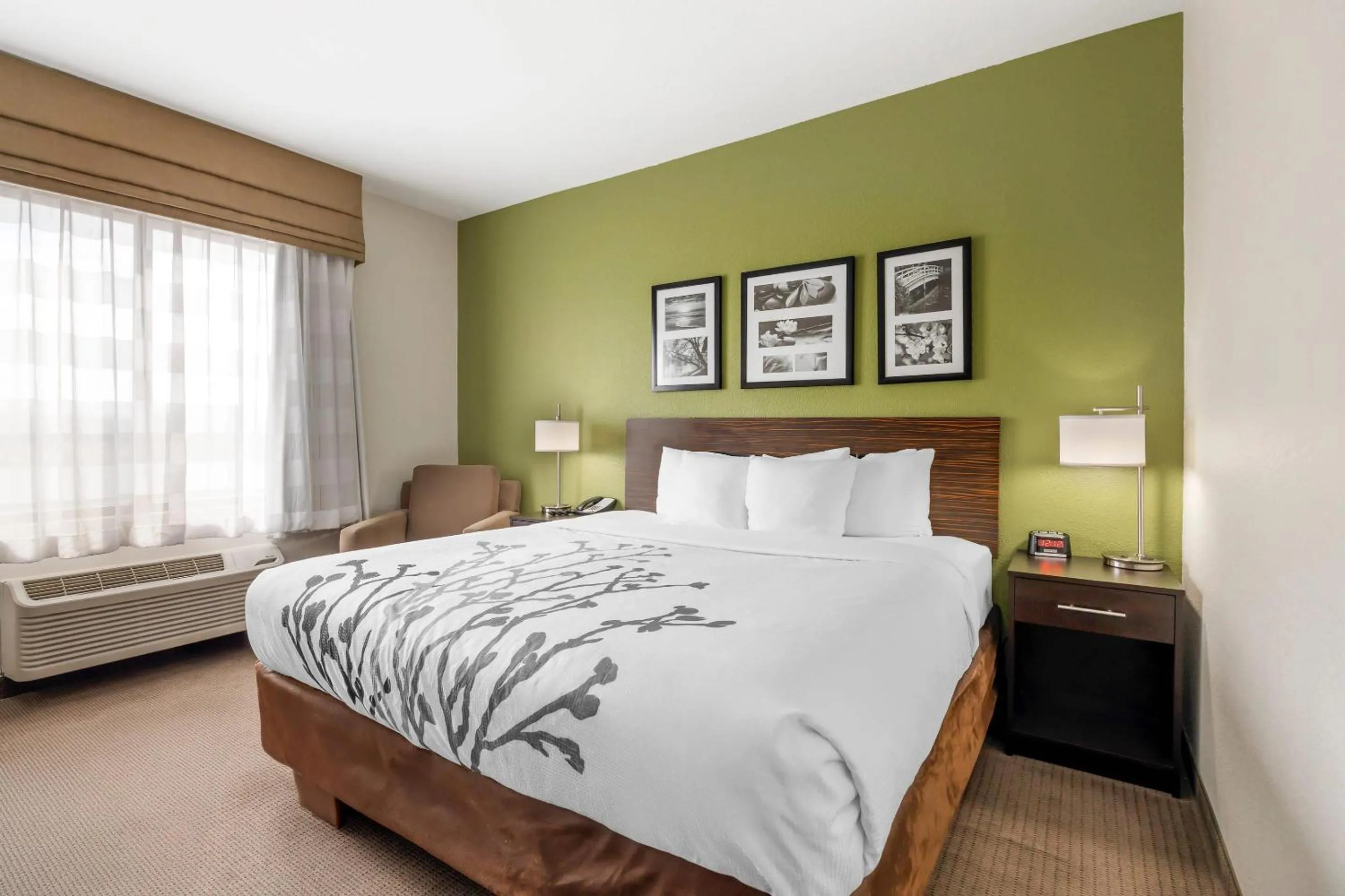 Bedroom, Bed in Sleep Inn & Suites Columbia