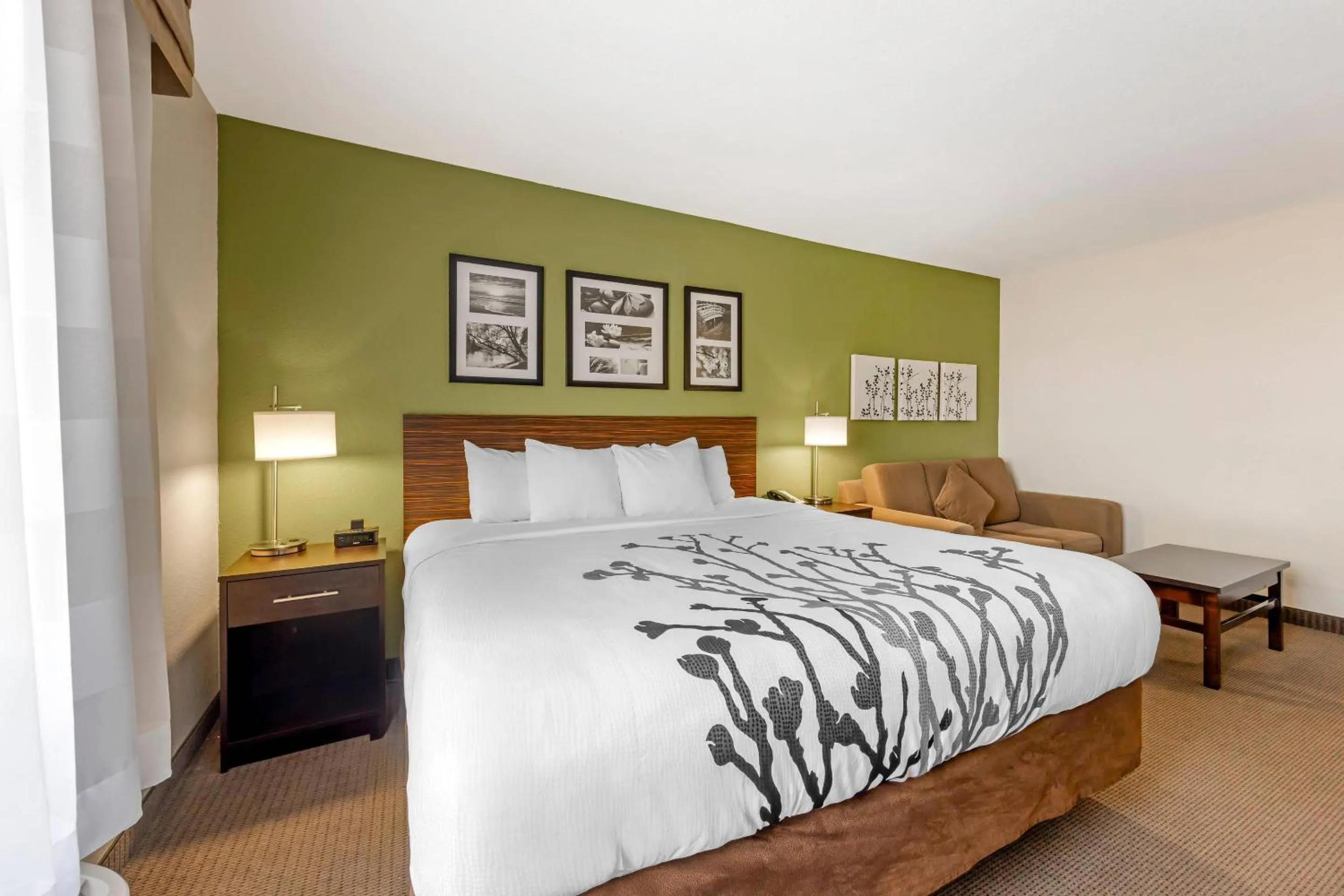 Bedroom, Bed in Sleep Inn & Suites Columbia